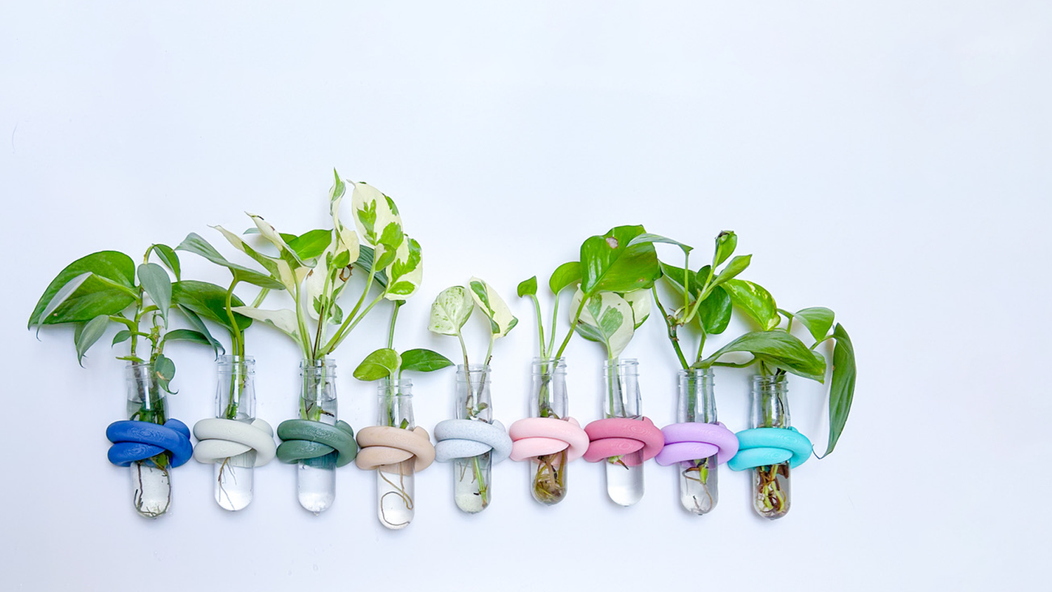 הייחורים של רעות׳ס