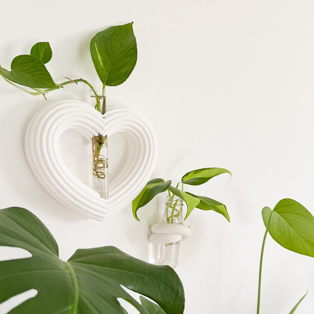 ייחורונים מגנטיים ותלויים