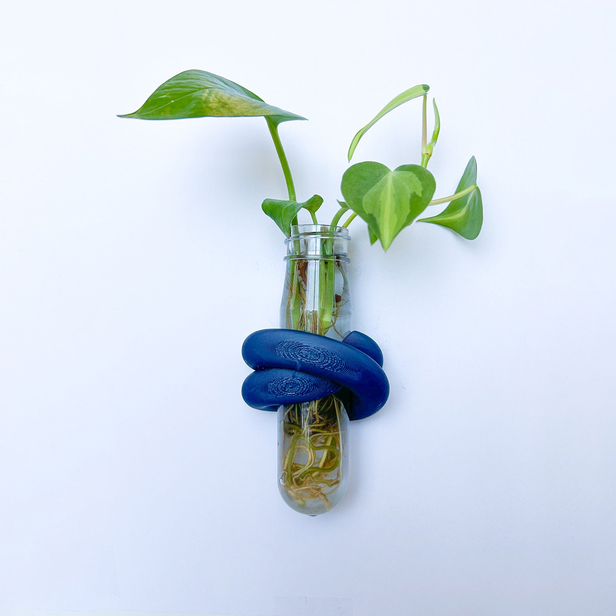 מתקן ייחורים מגנטי | LOOP