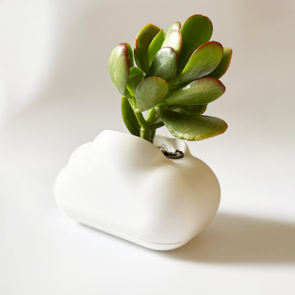 הייחורים של רעות׳ס