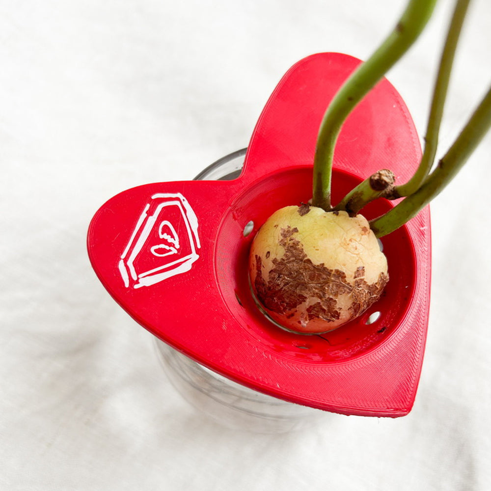 הייחורים של רעות׳ס