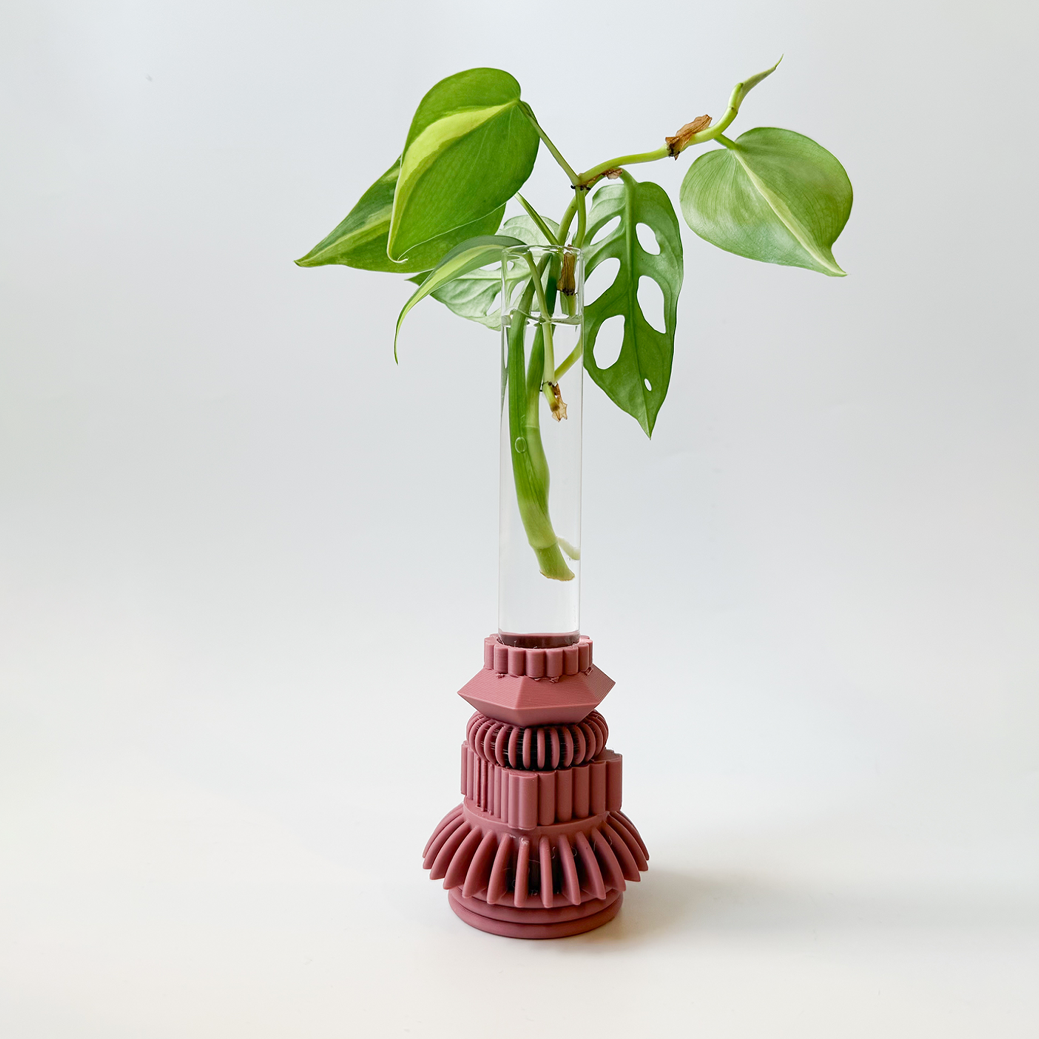 מתקן ייחורים שולחני | טרייב