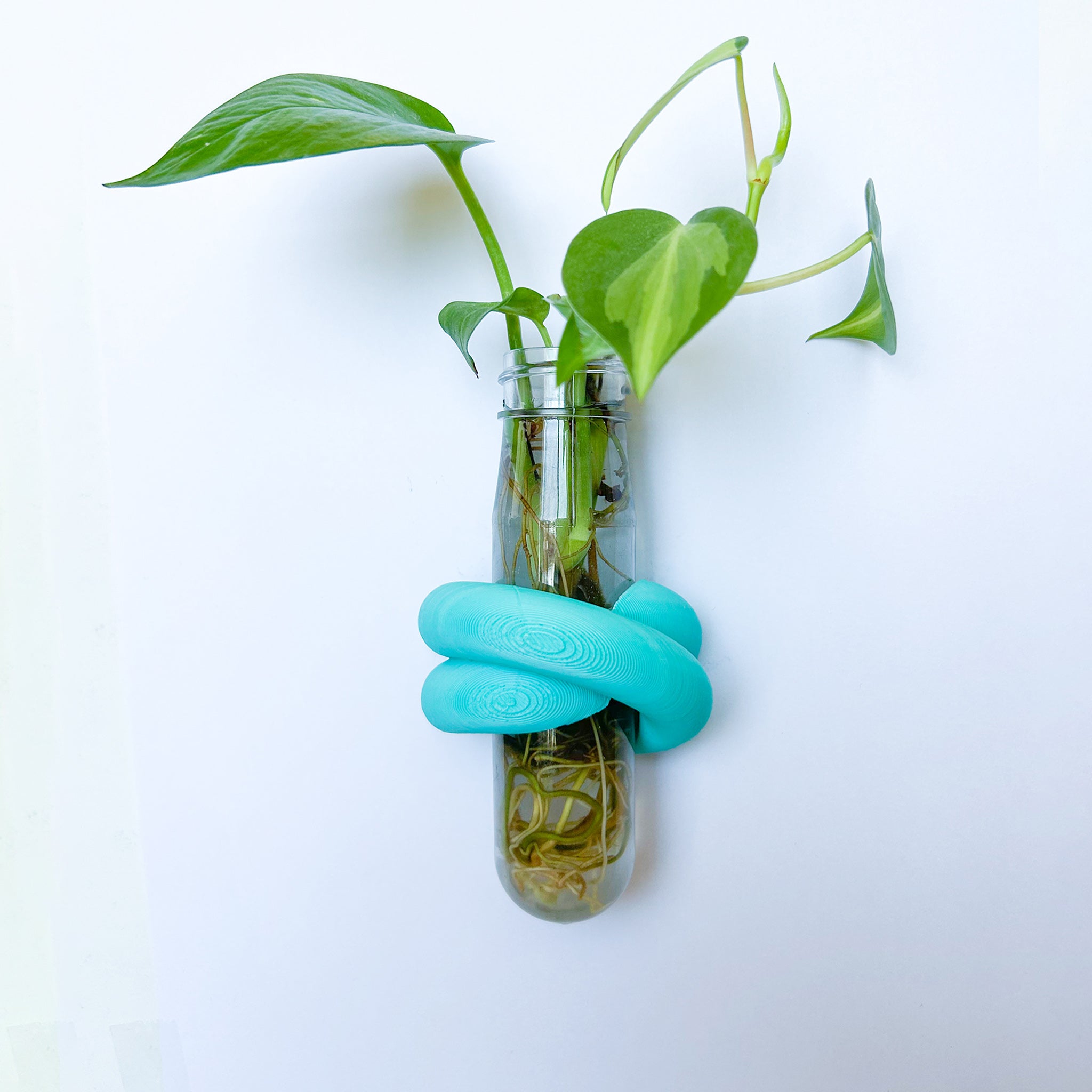 מתקן ייחורים מגנטי | LOOP