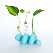 מתקן ייחורים שולחני | ספרינג