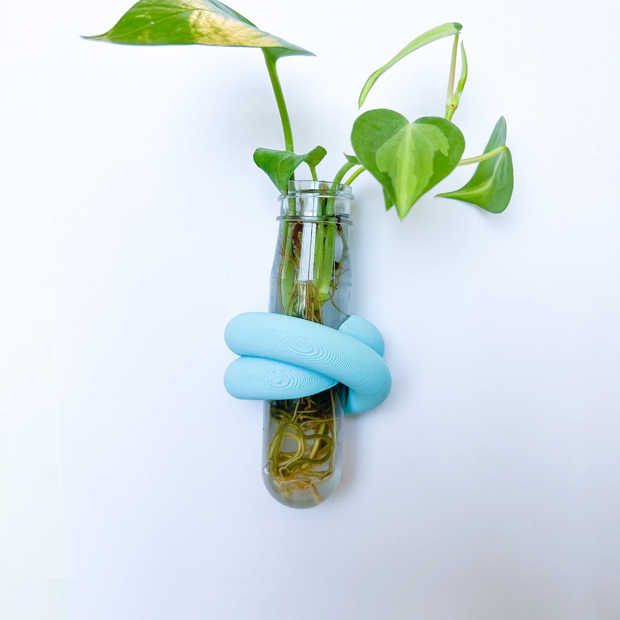 מתקן ייחורים מגנטי | LOOP