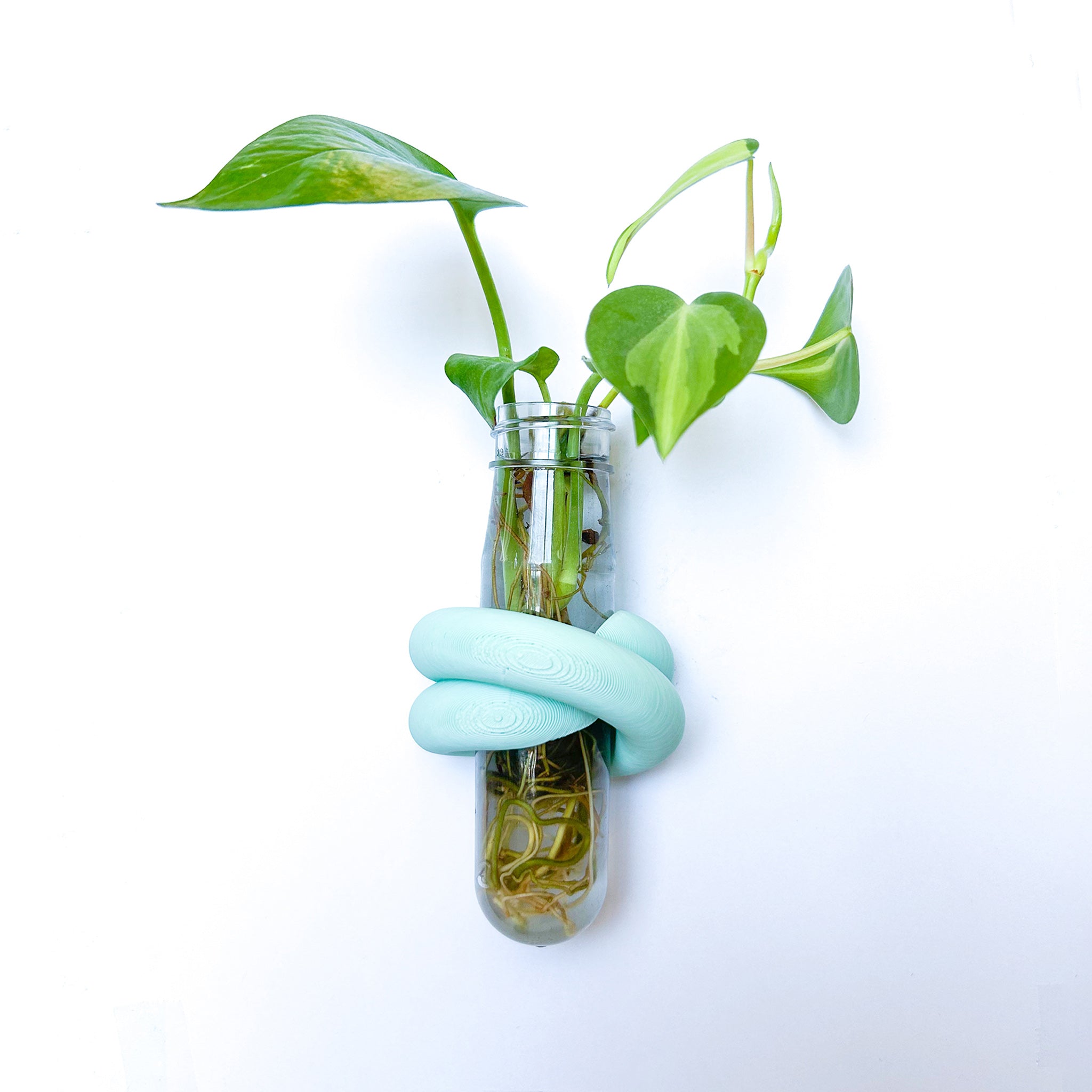 מתקן ייחורים מגנטי | LOOP