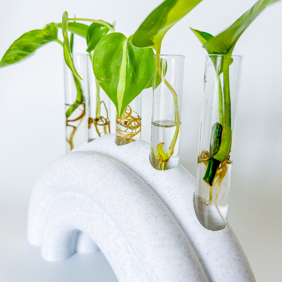 מתקן ייחורים שולחני | ריינבו