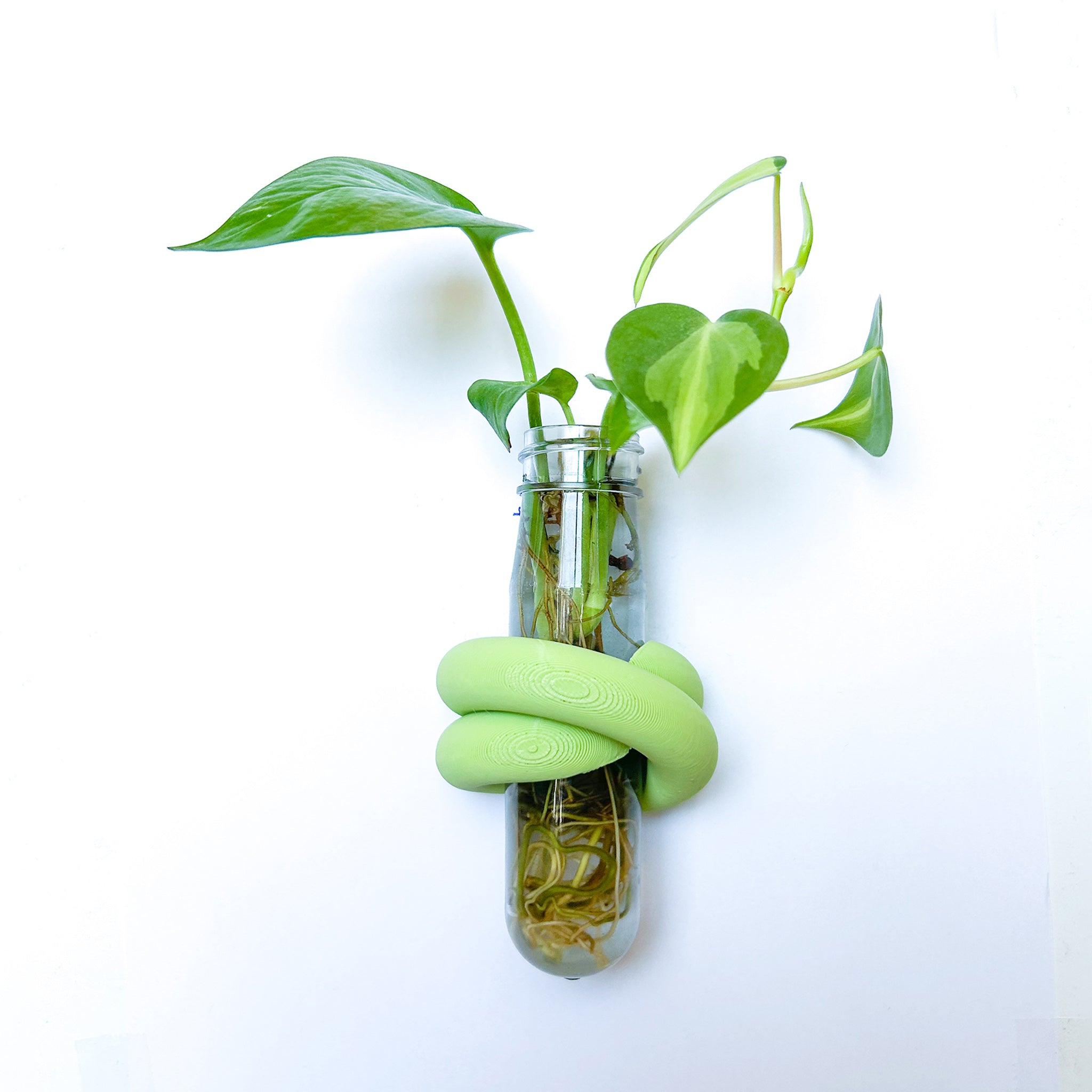 מתקן ייחורים מגנטי | LOOP