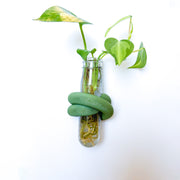 מתקן ייחורים מגנטי | LOOP