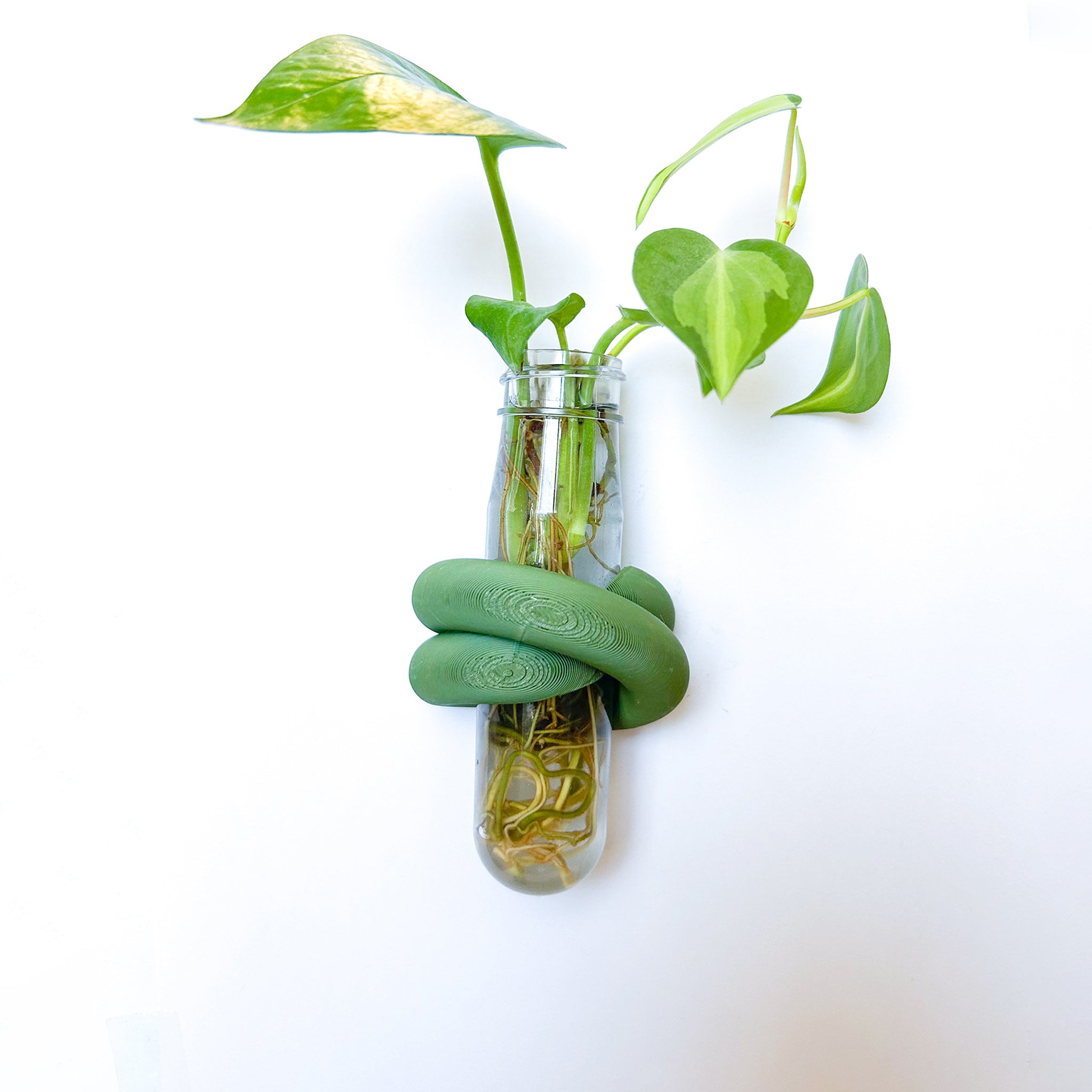 מתקן ייחורים מגנטי | LOOP