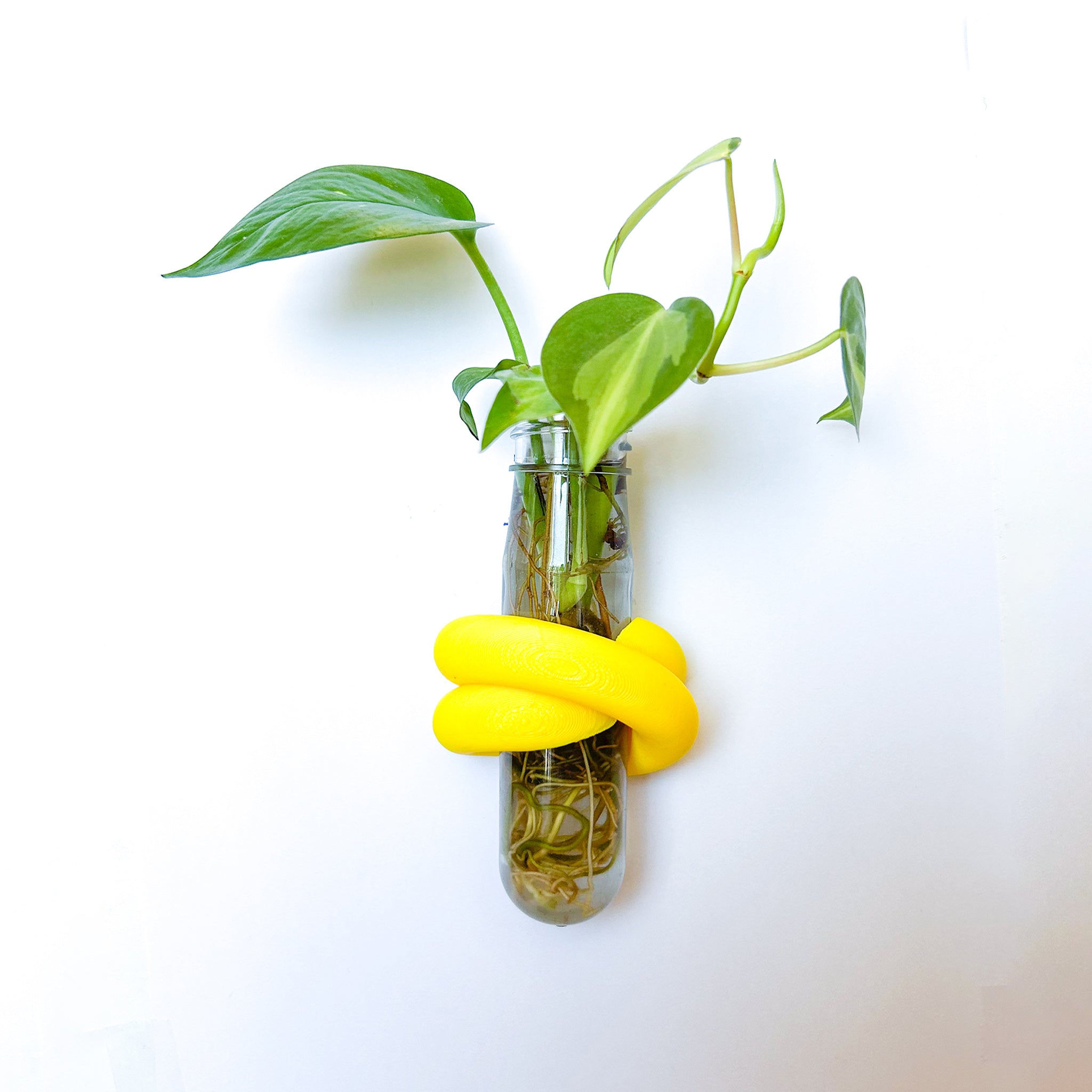 מתקן ייחורים מגנטי | LOOP