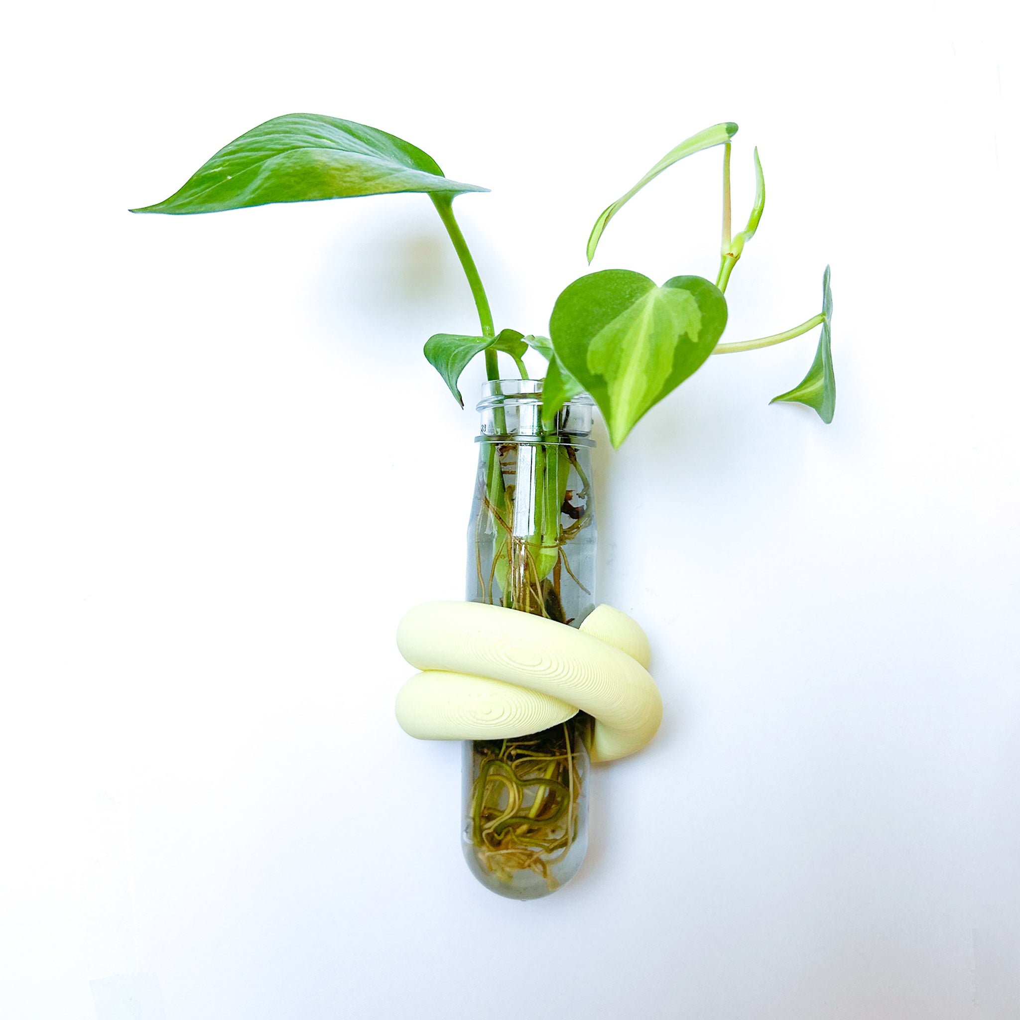 מתקן ייחורים מגנטי | LOOP