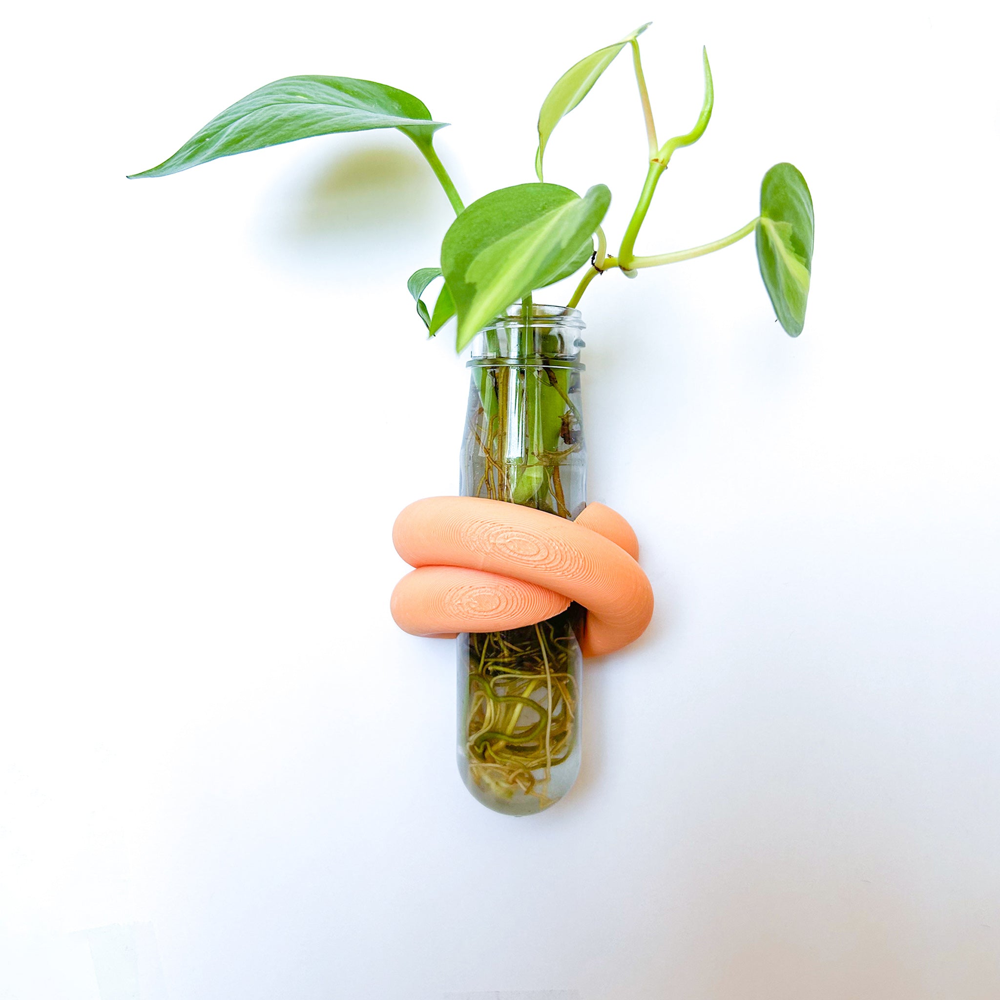 מתקן ייחורים מגנטי | LOOP