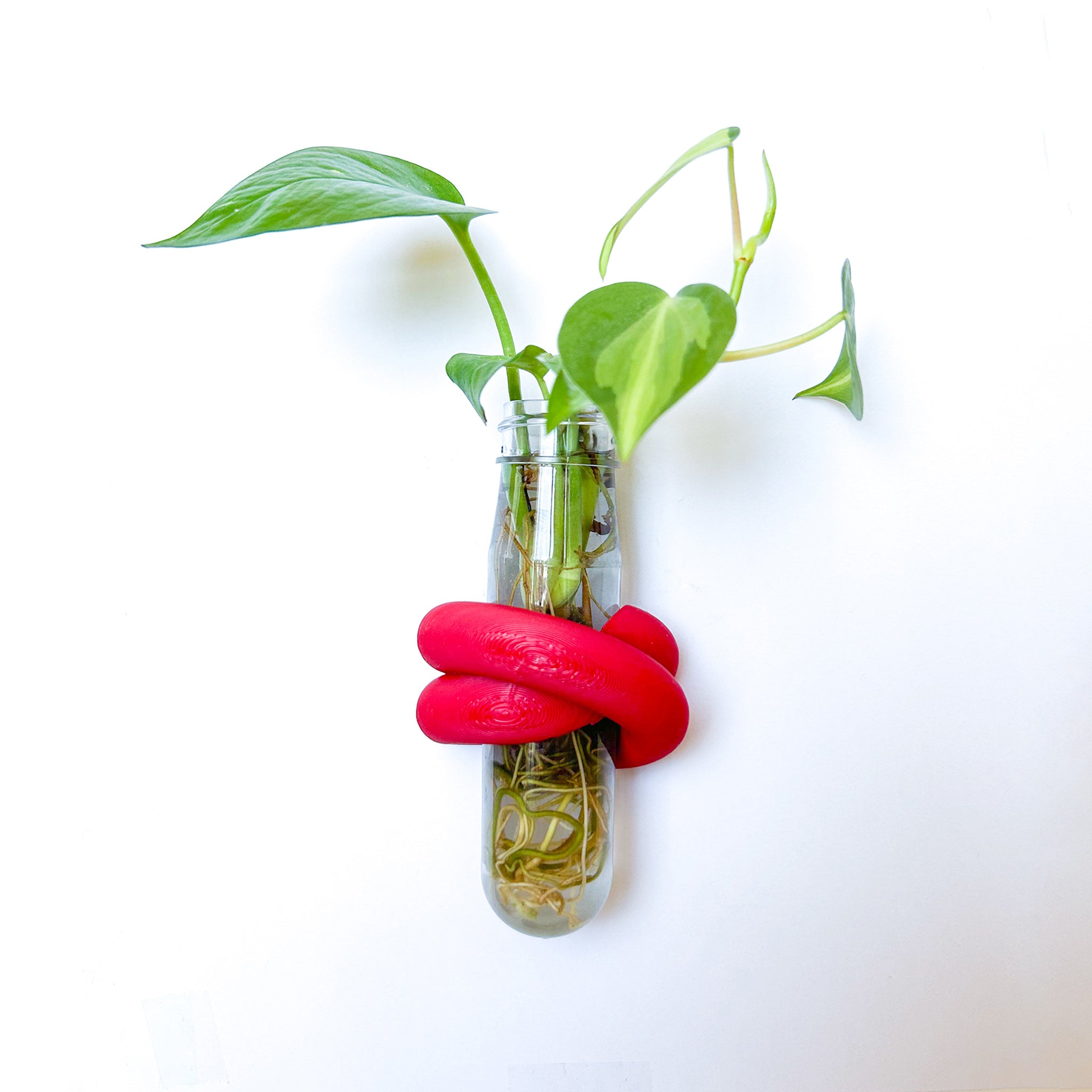 מתקן ייחורים מגנטי | LOOP