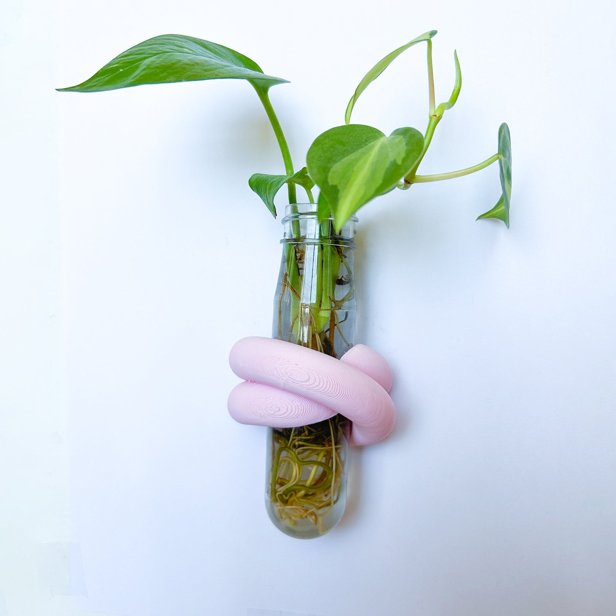 מתקן ייחורים מגנטי | LOOP