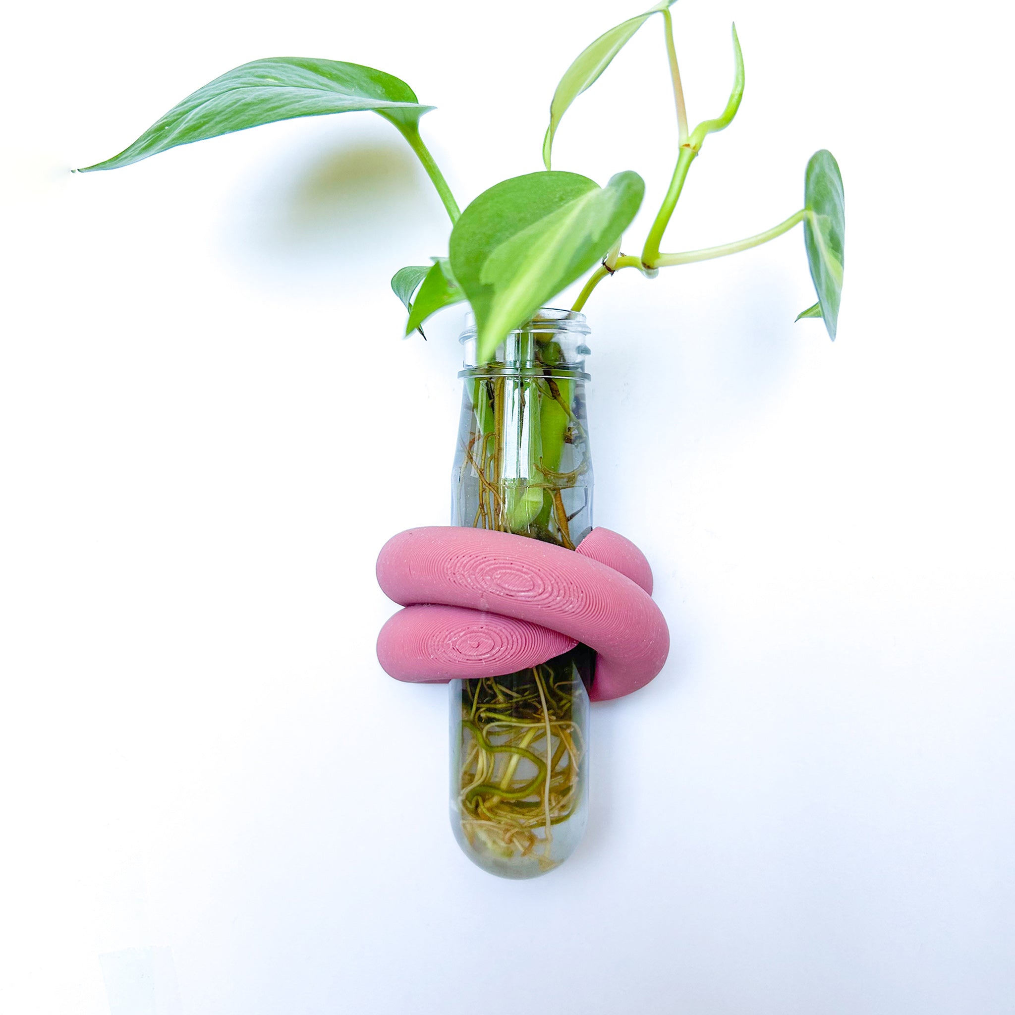 מתקן ייחורים מגנטי | LOOP