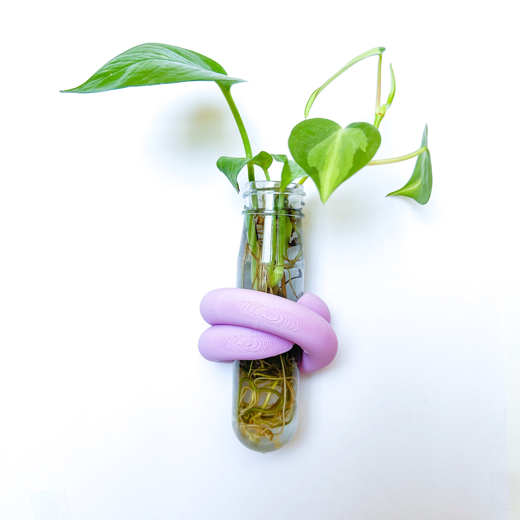 מתקן ייחורים מגנטי | LOOP