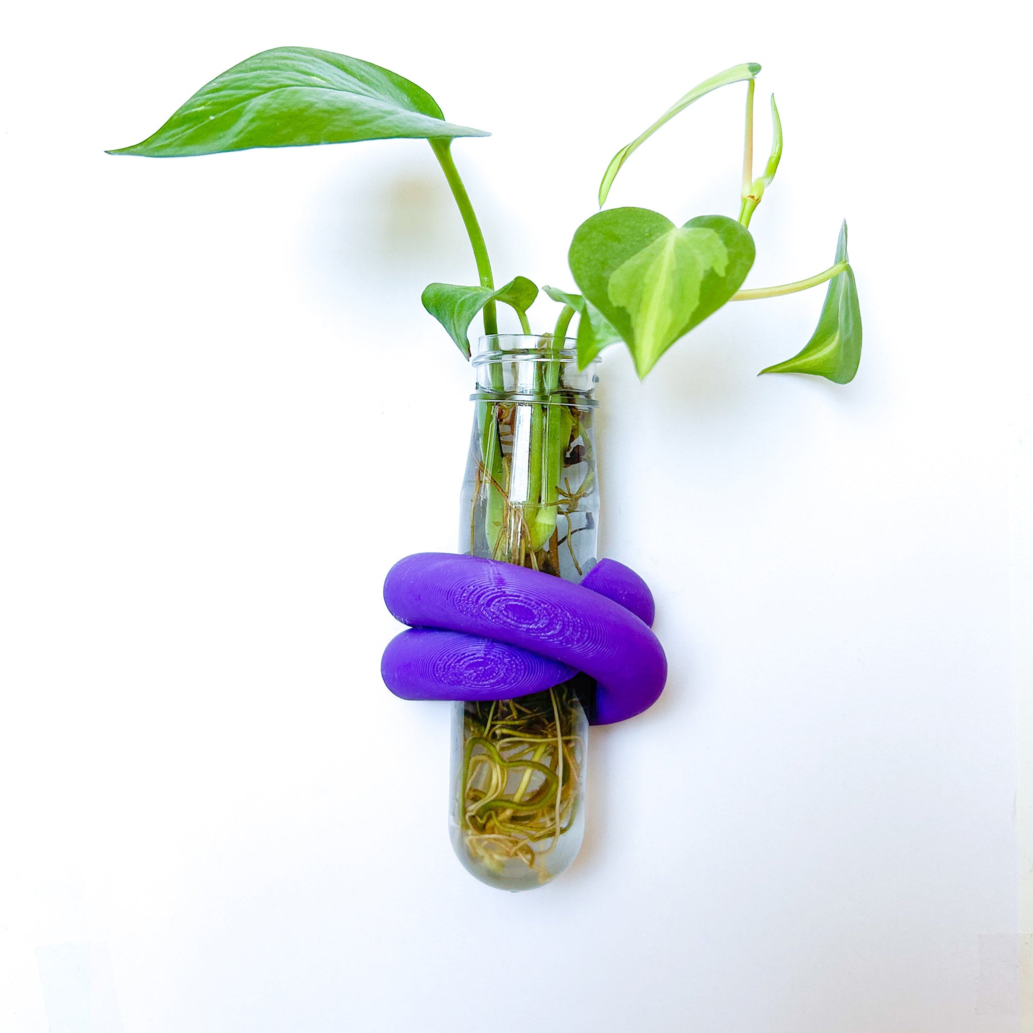 מתקן ייחורים מגנטי | LOOP