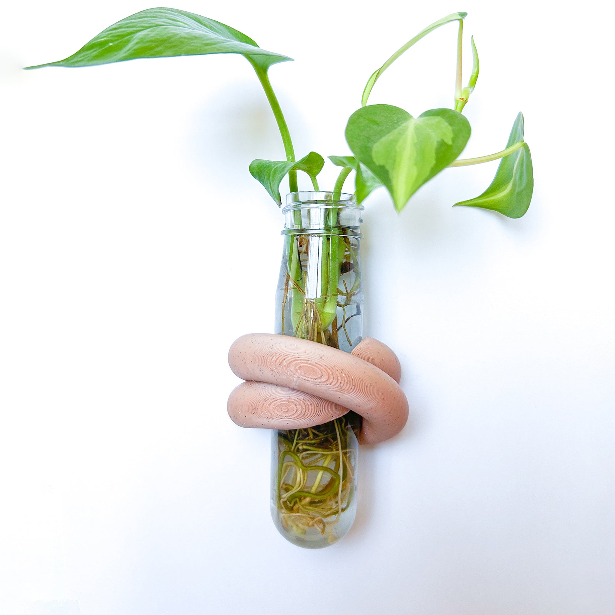 מתקן ייחורים מגנטי | LOOP