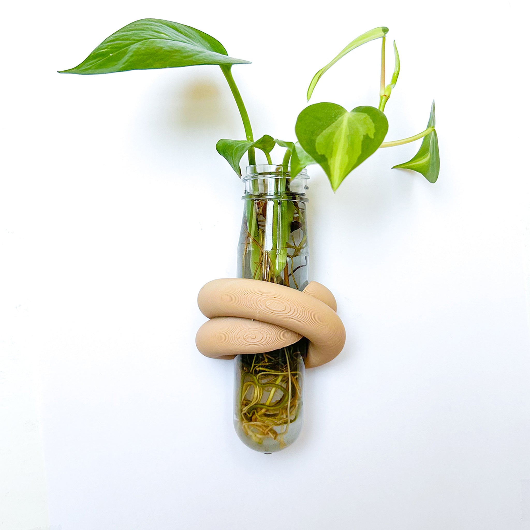 מתקן ייחורים מגנטי | LOOP