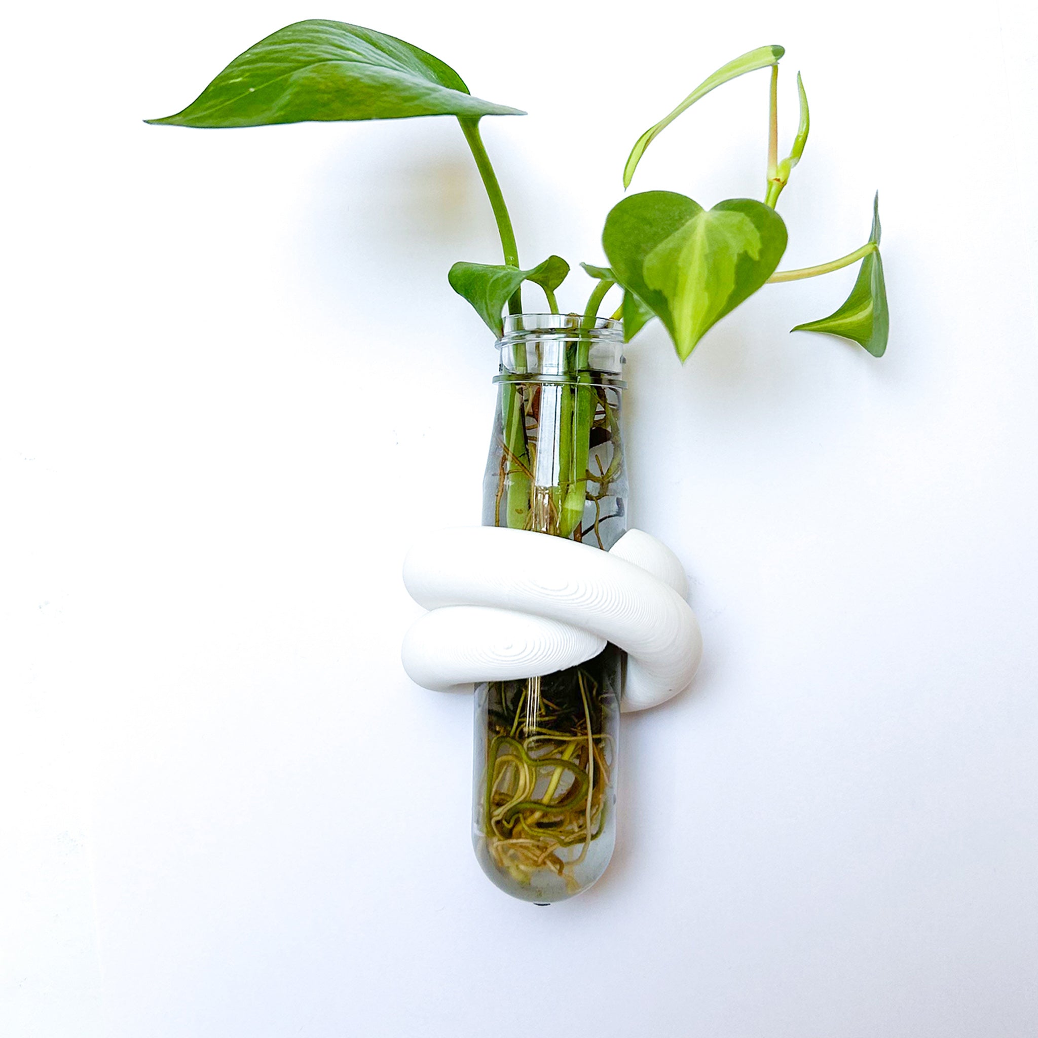 מתקן ייחורים מגנטי | LOOP