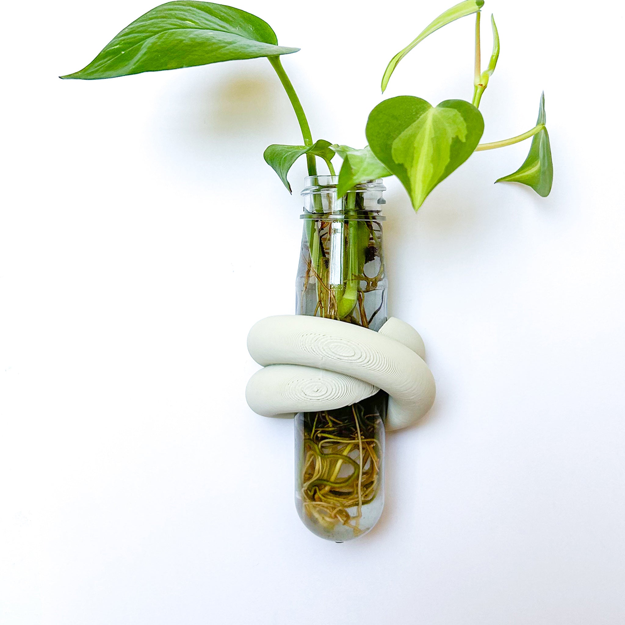 מתקן ייחורים מגנטי | LOOP