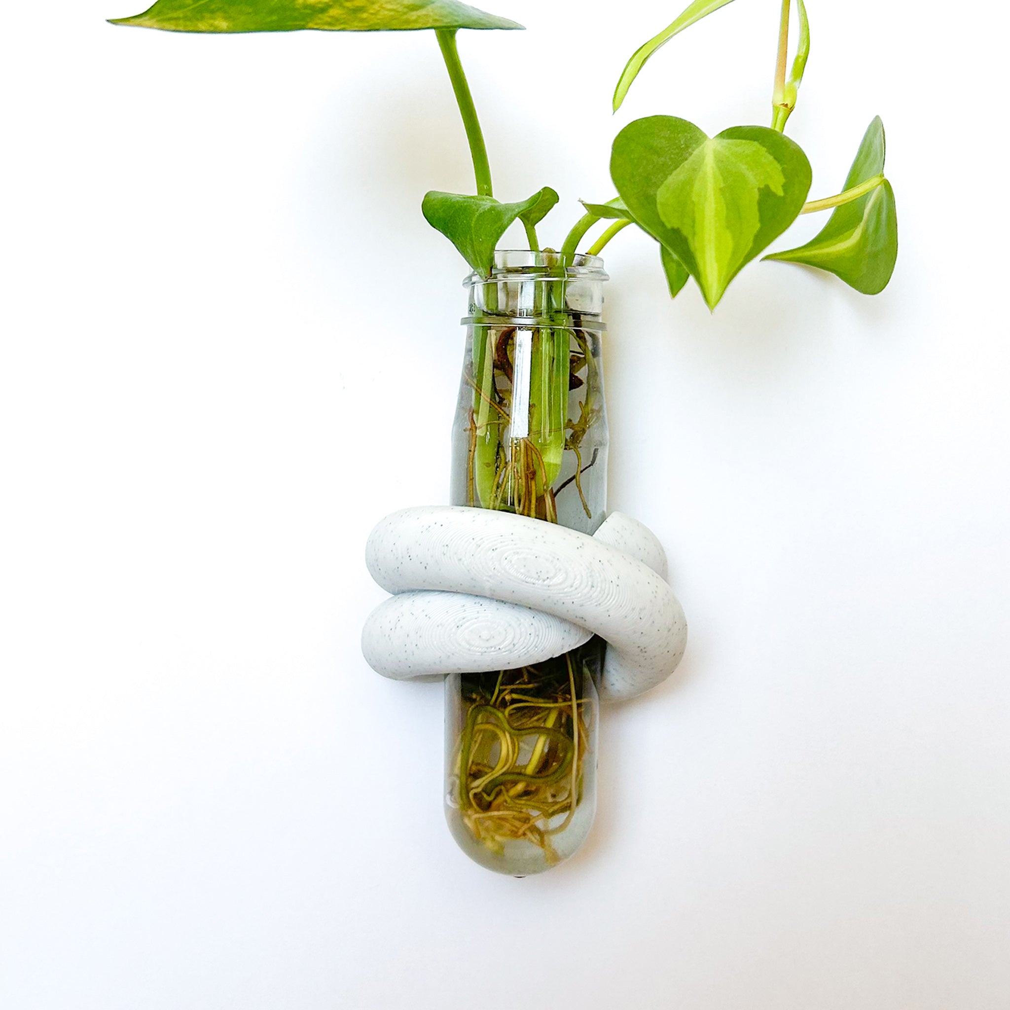 מתקן ייחורים מגנטי | LOOP