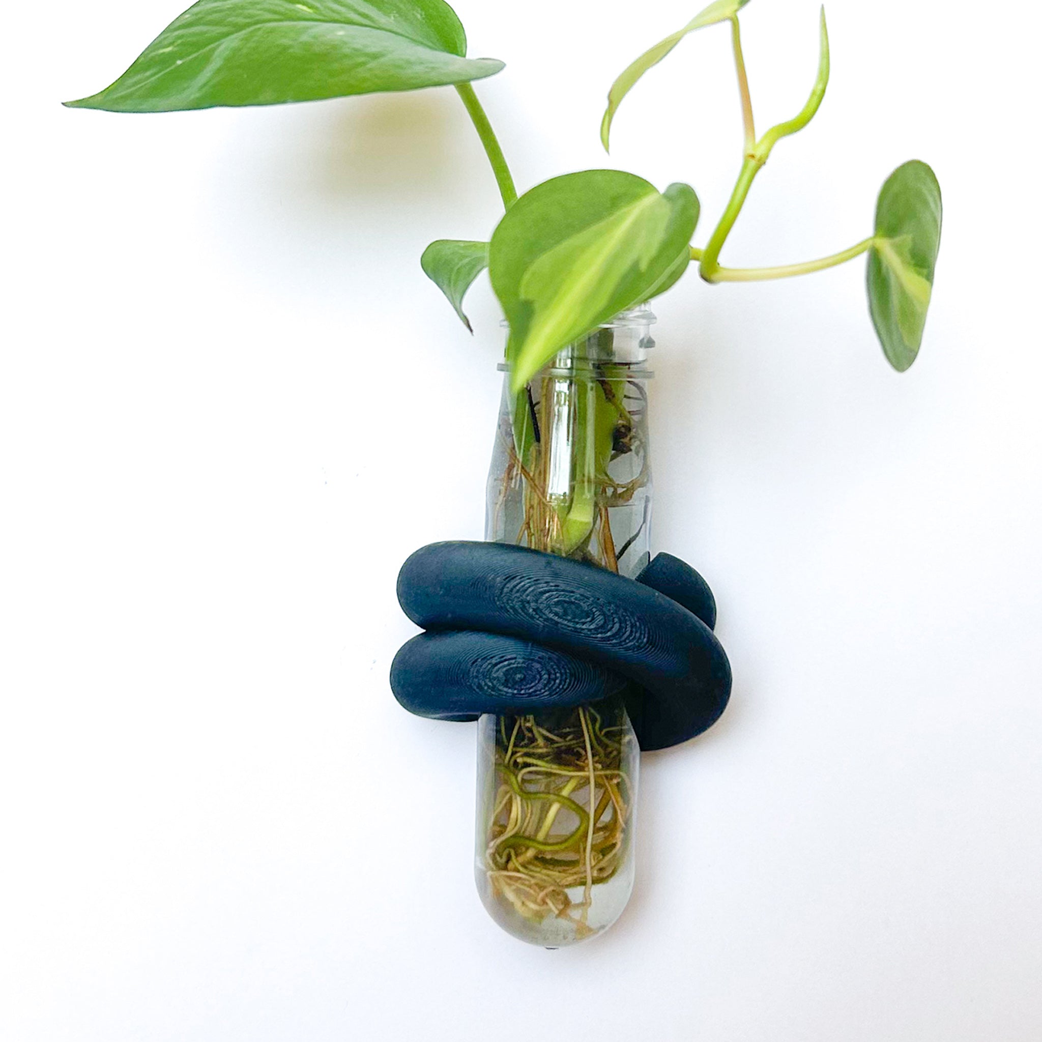 מתקן ייחורים מגנטי | LOOP