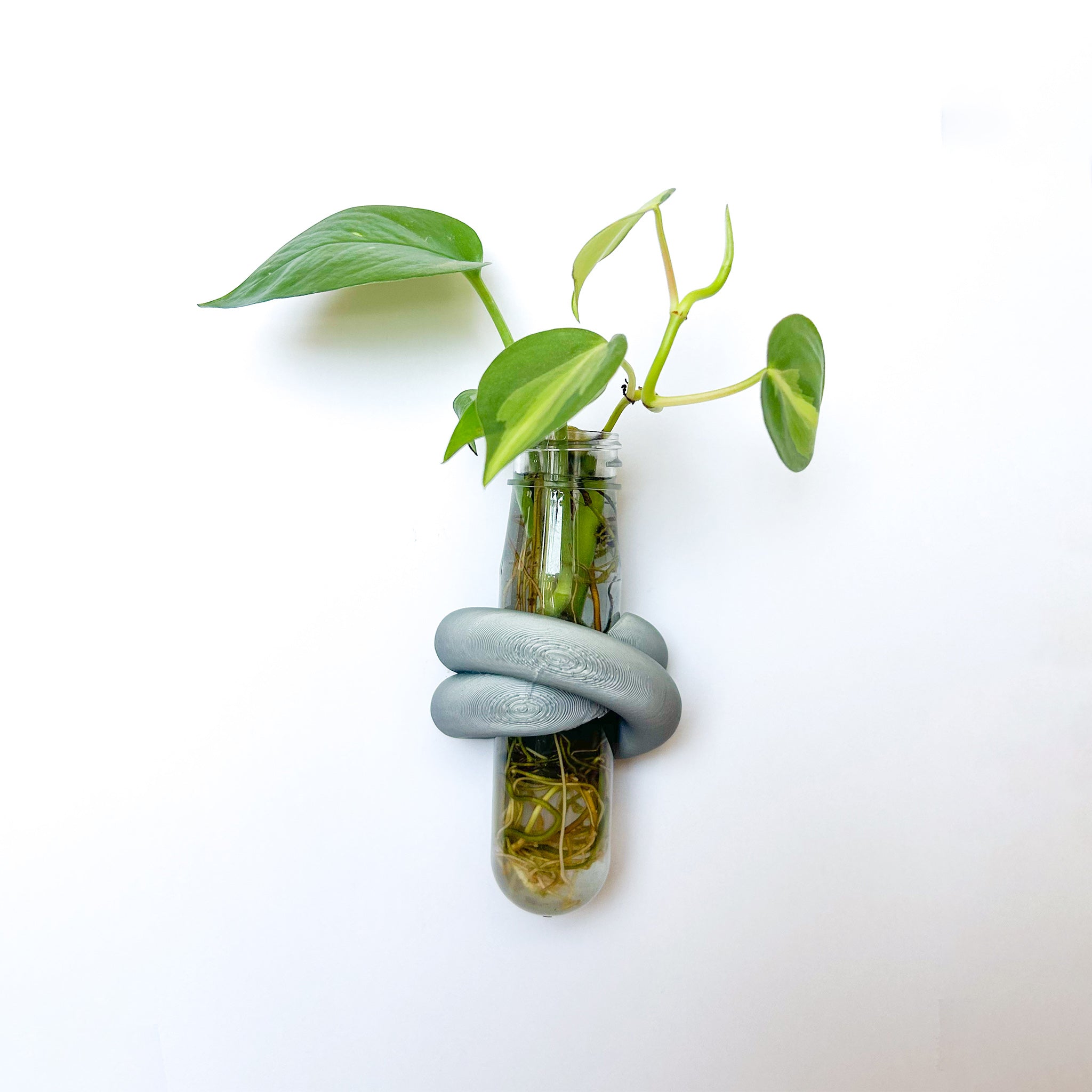 מתקן ייחורים מגנטי | LOOP