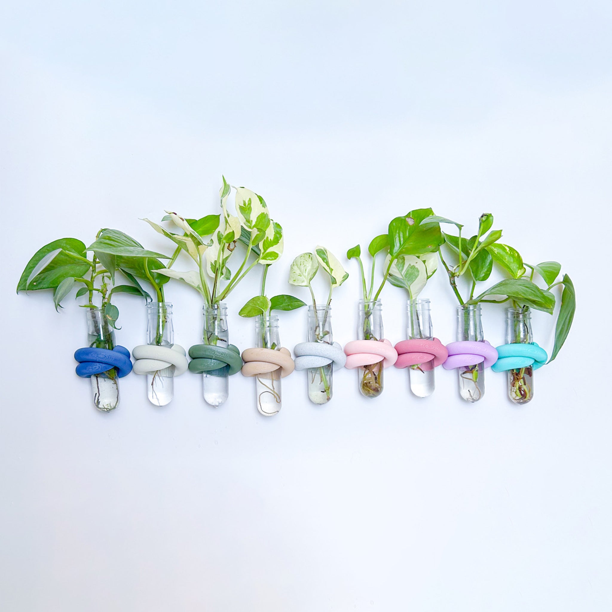 מתקן ייחורים מגנטי | LOOP