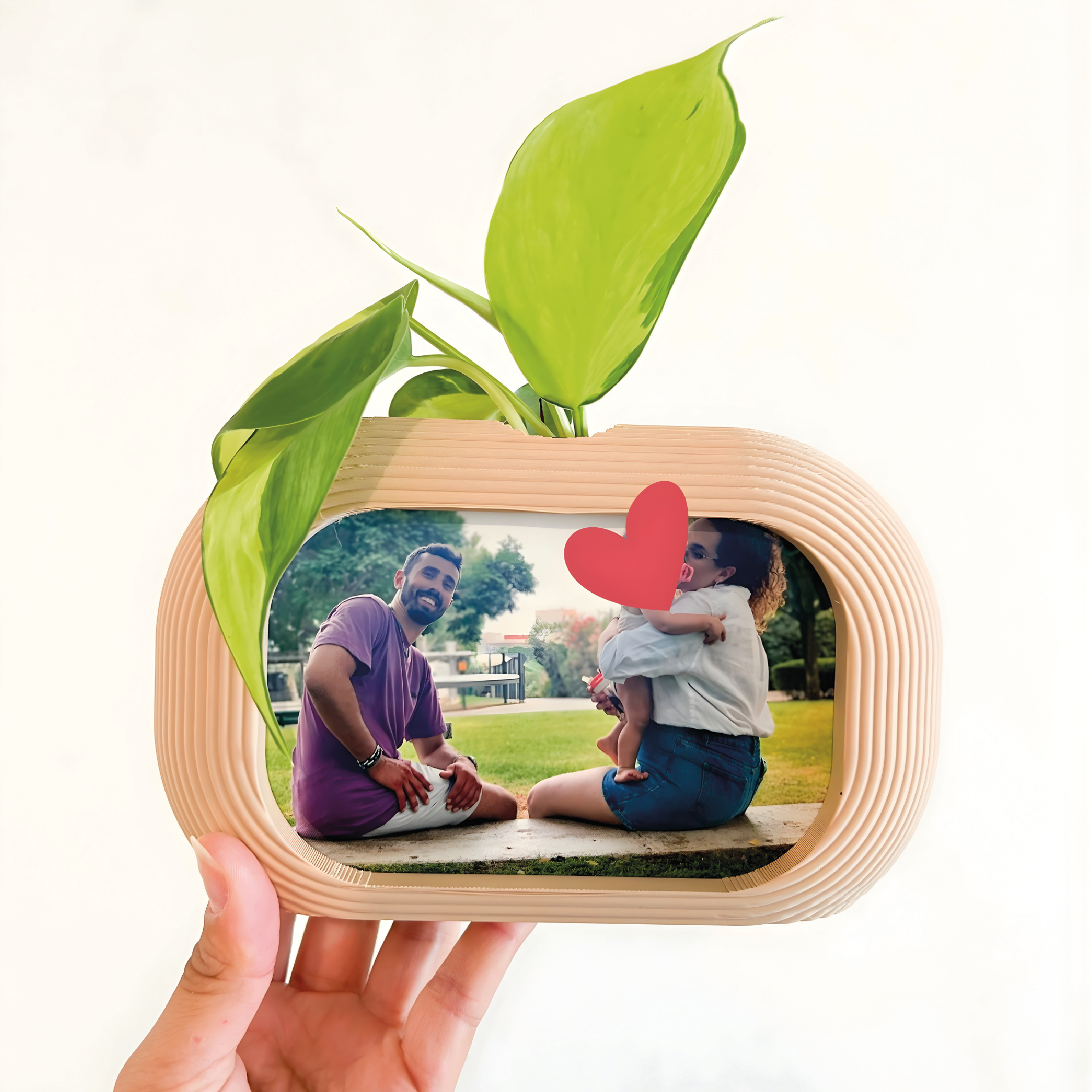 מארז ט״ו בשבט