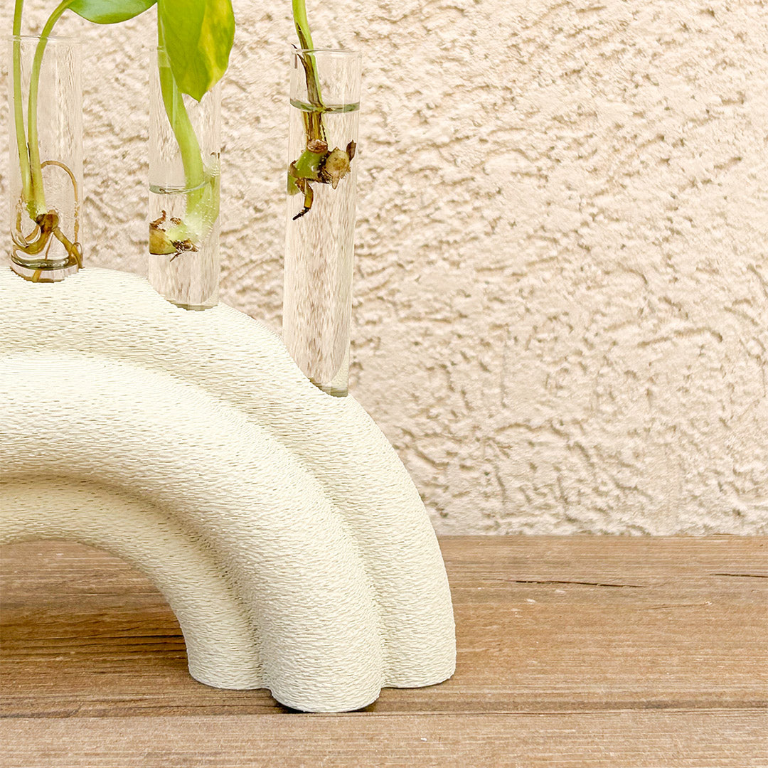 מתקן ייחורים שולחני | ריינבו