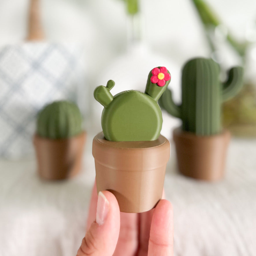 הקקטוסים של רעות׳ס