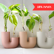 אסימטרי | יריד החלומות של נתנאלה