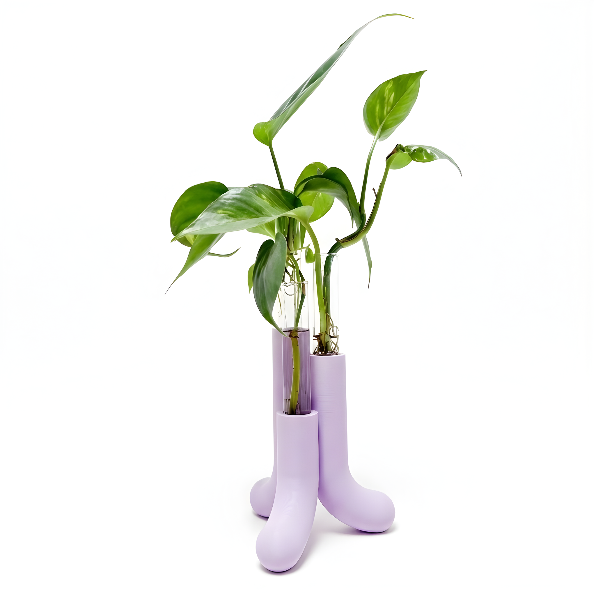 מתקן ייחורים שולחני | טיוב