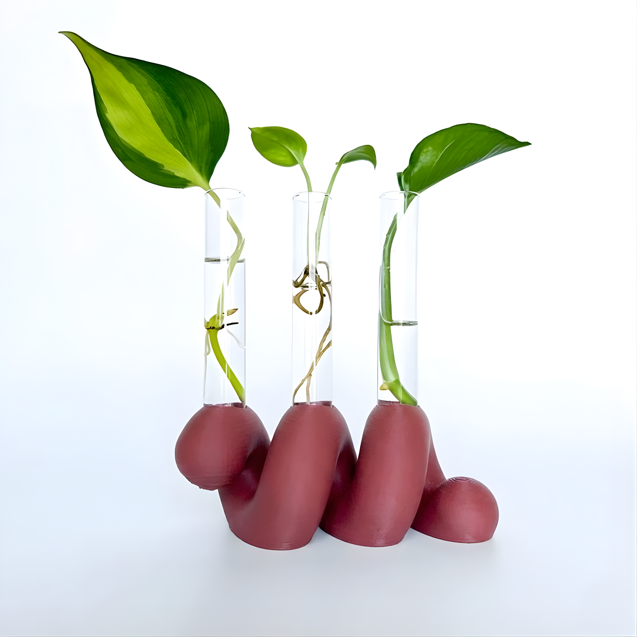 מתקן ייחורים שולחני | ספרינג