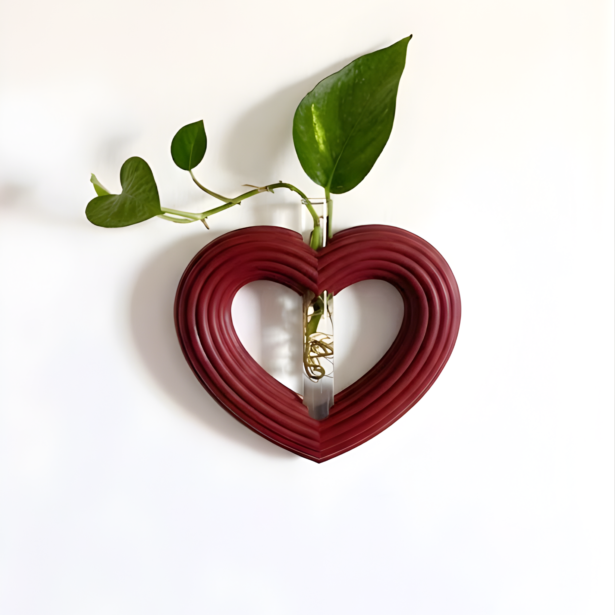 מתקן ייחורים מגנטי/ לתלייה | לב ענק