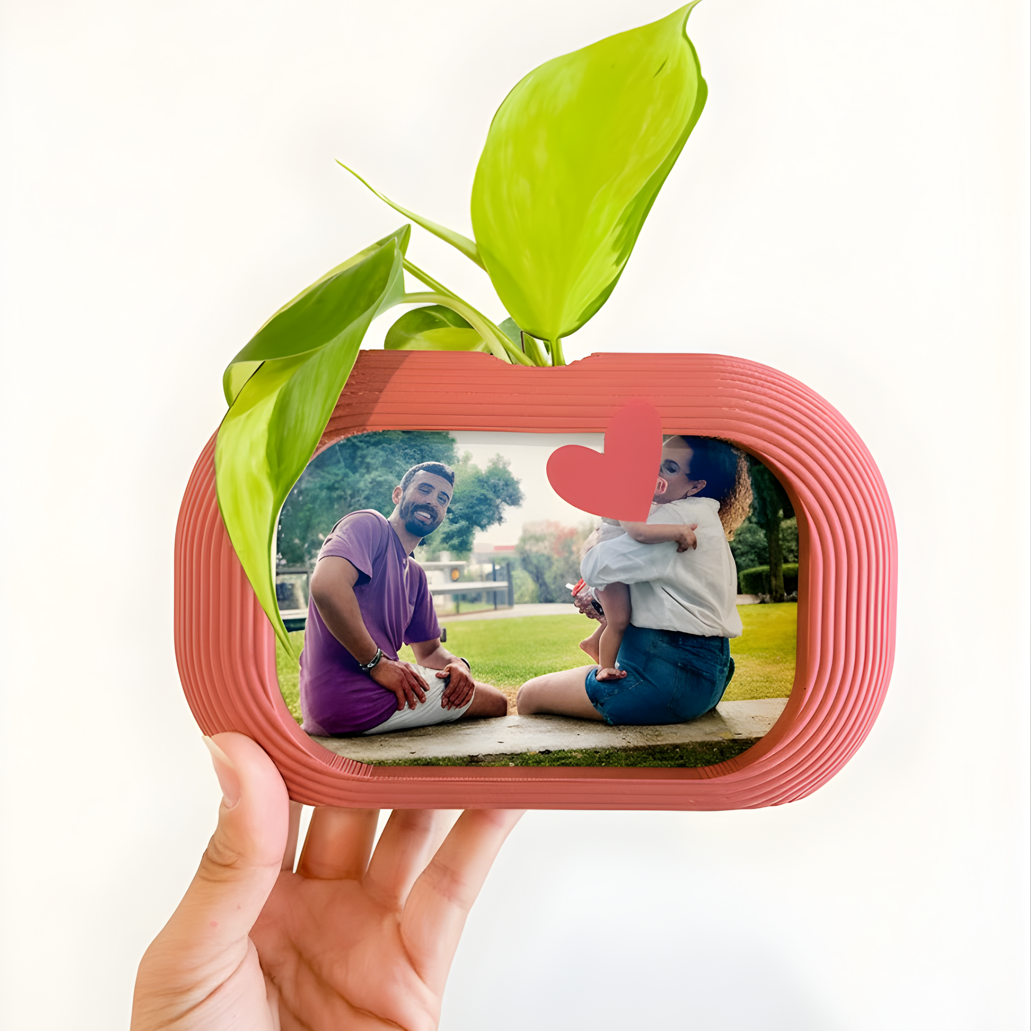 מסגרת צומחת