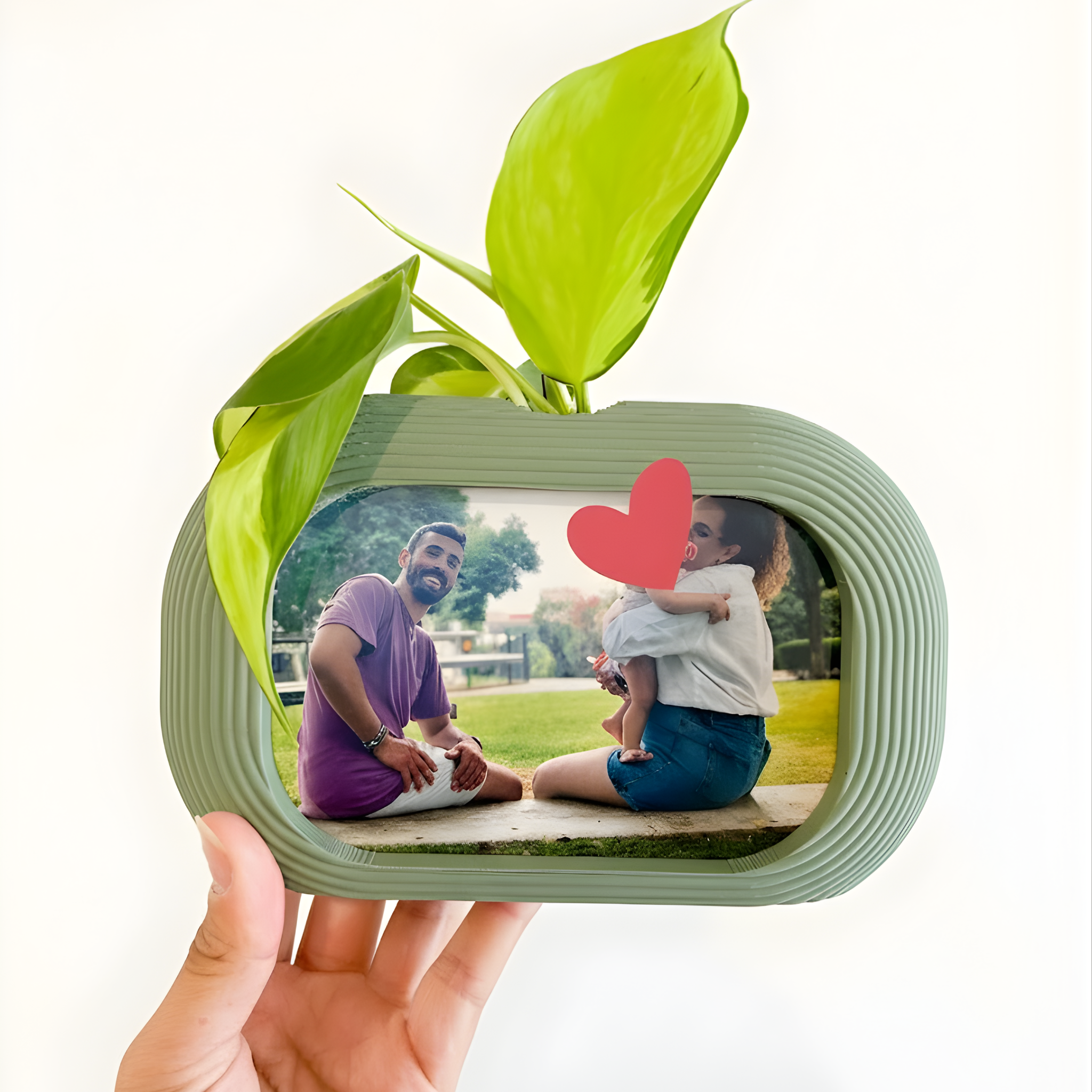 מסגרת צומחת