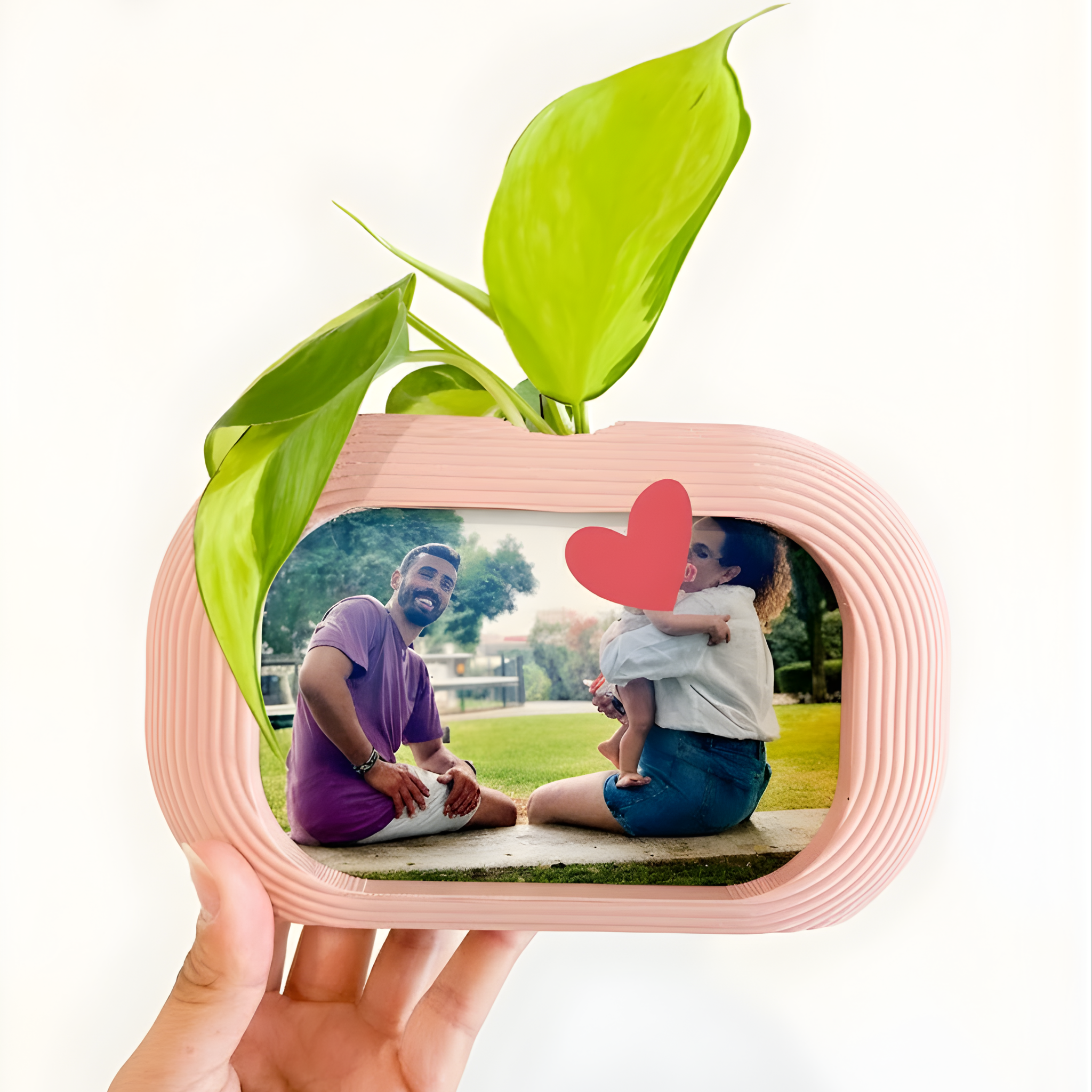 מסגרת צומחת