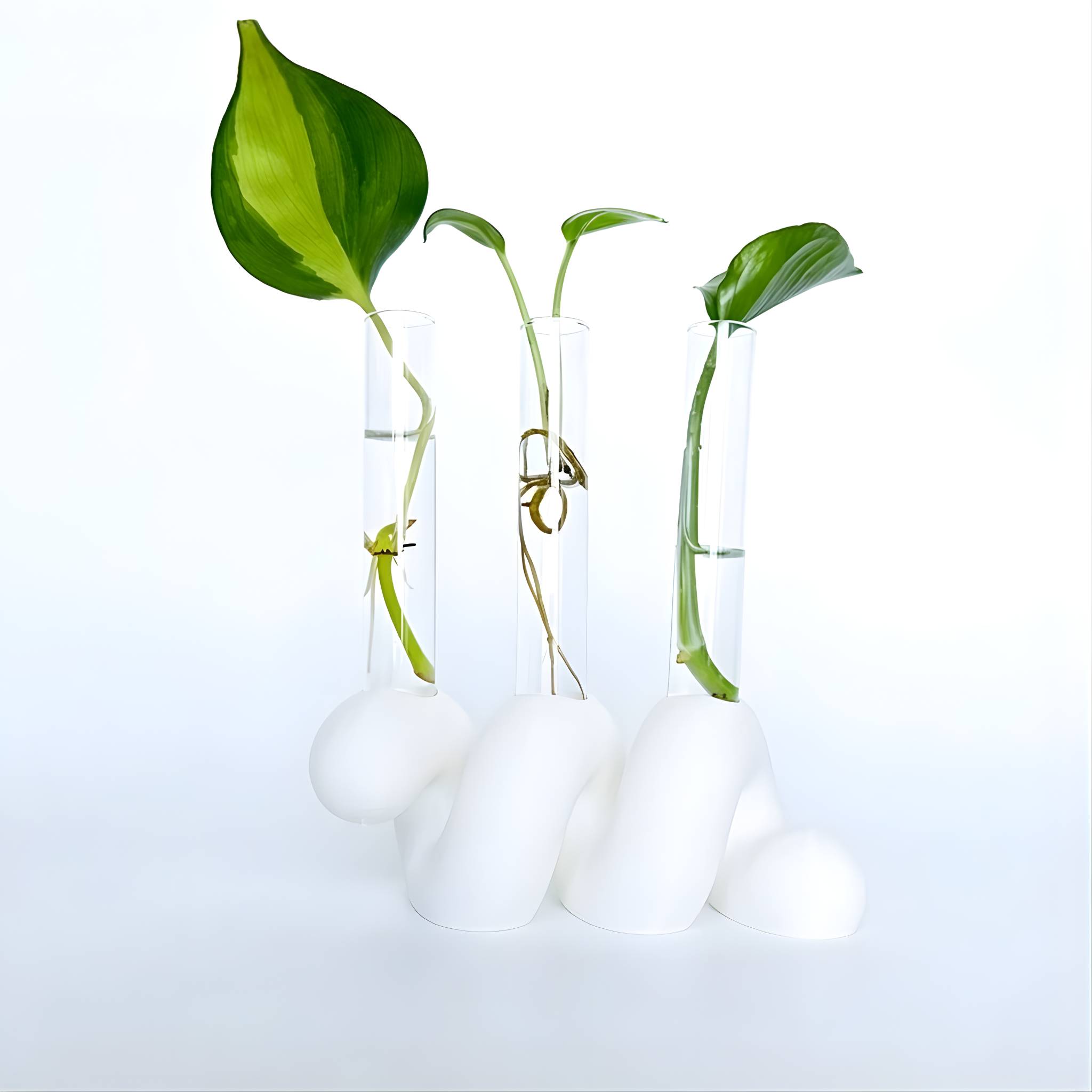 מתקן ייחורים שולחני | ספרינג