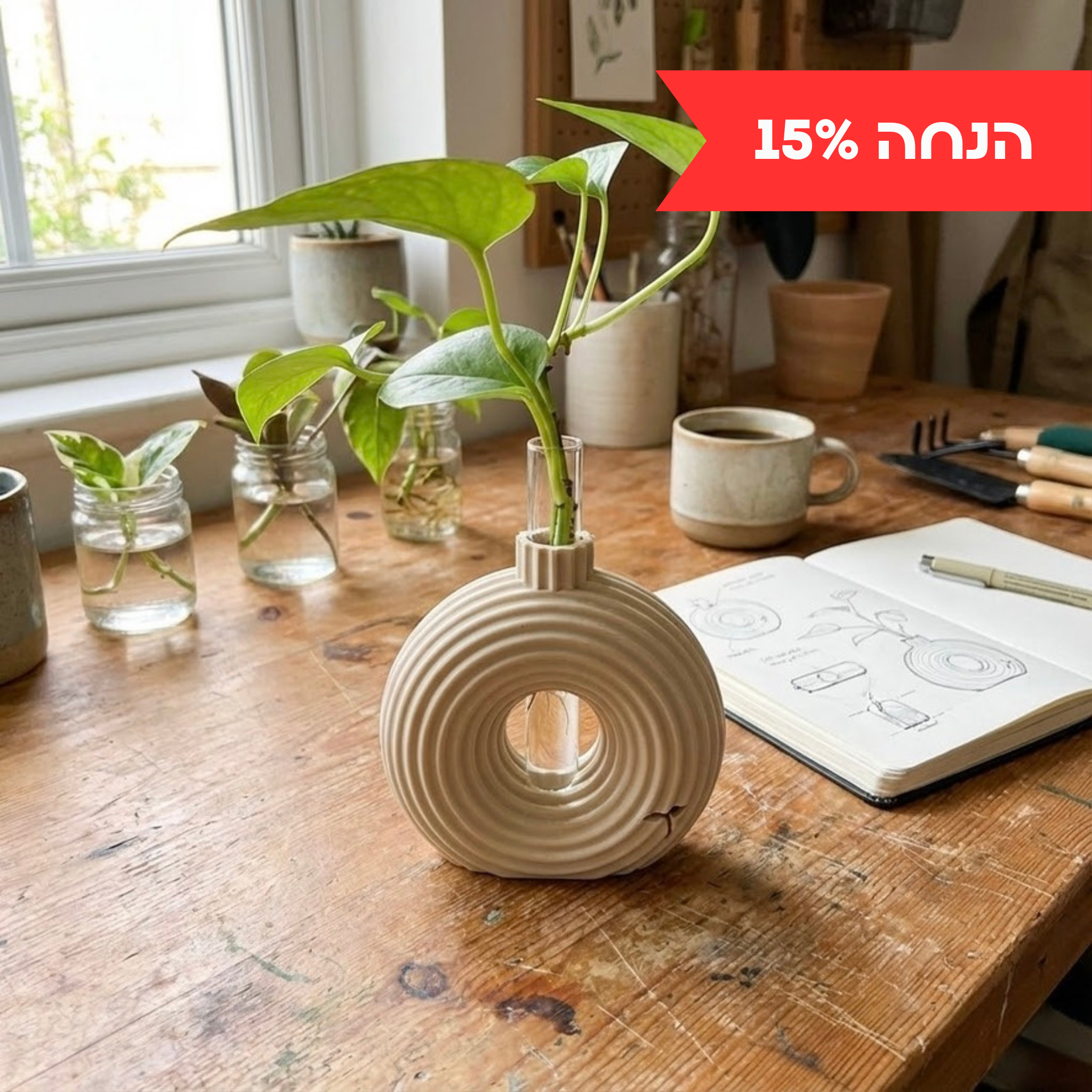 רימון | יריד החלומות של נתנאלה