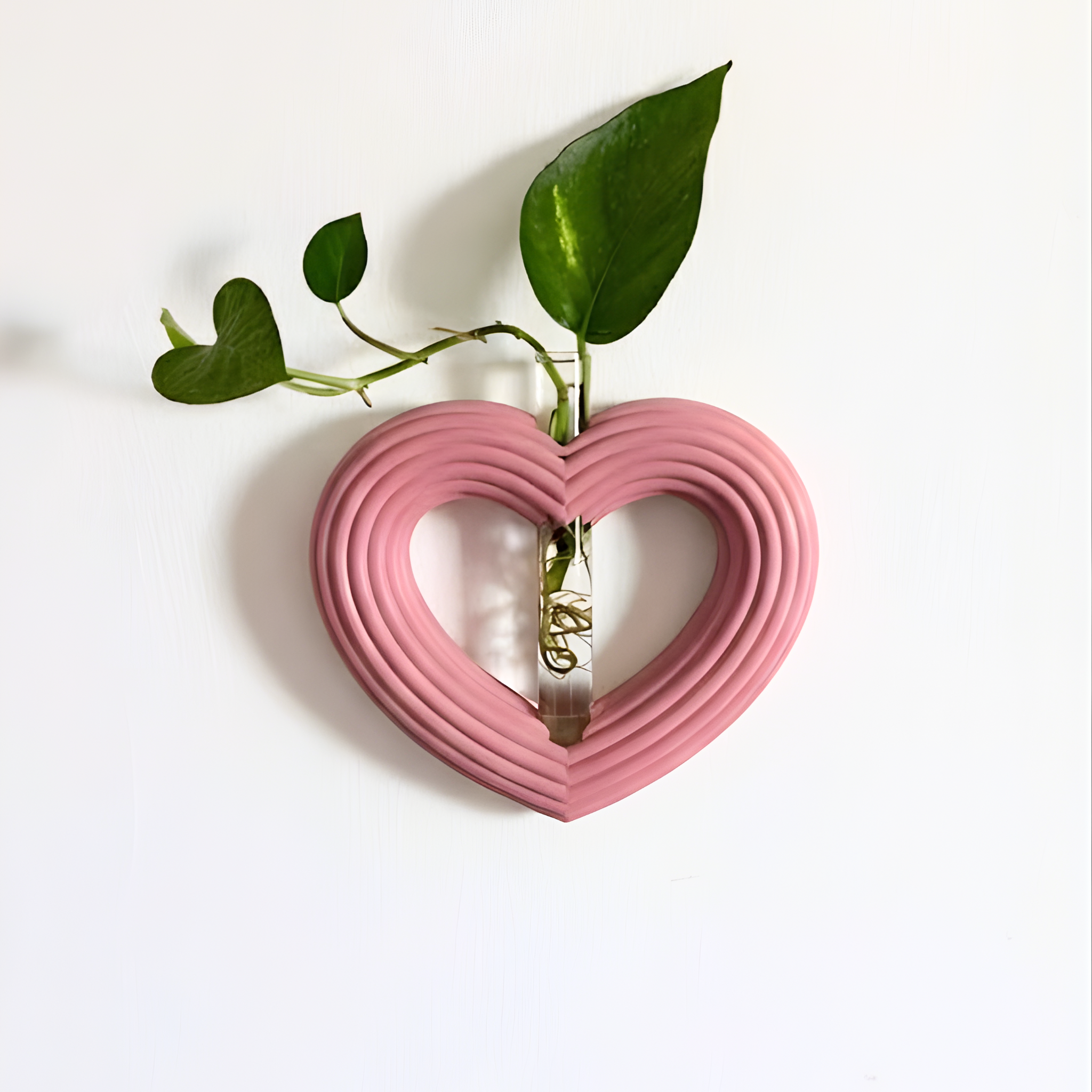 מתקן ייחורים מגנטי/ לתלייה | לב ענק