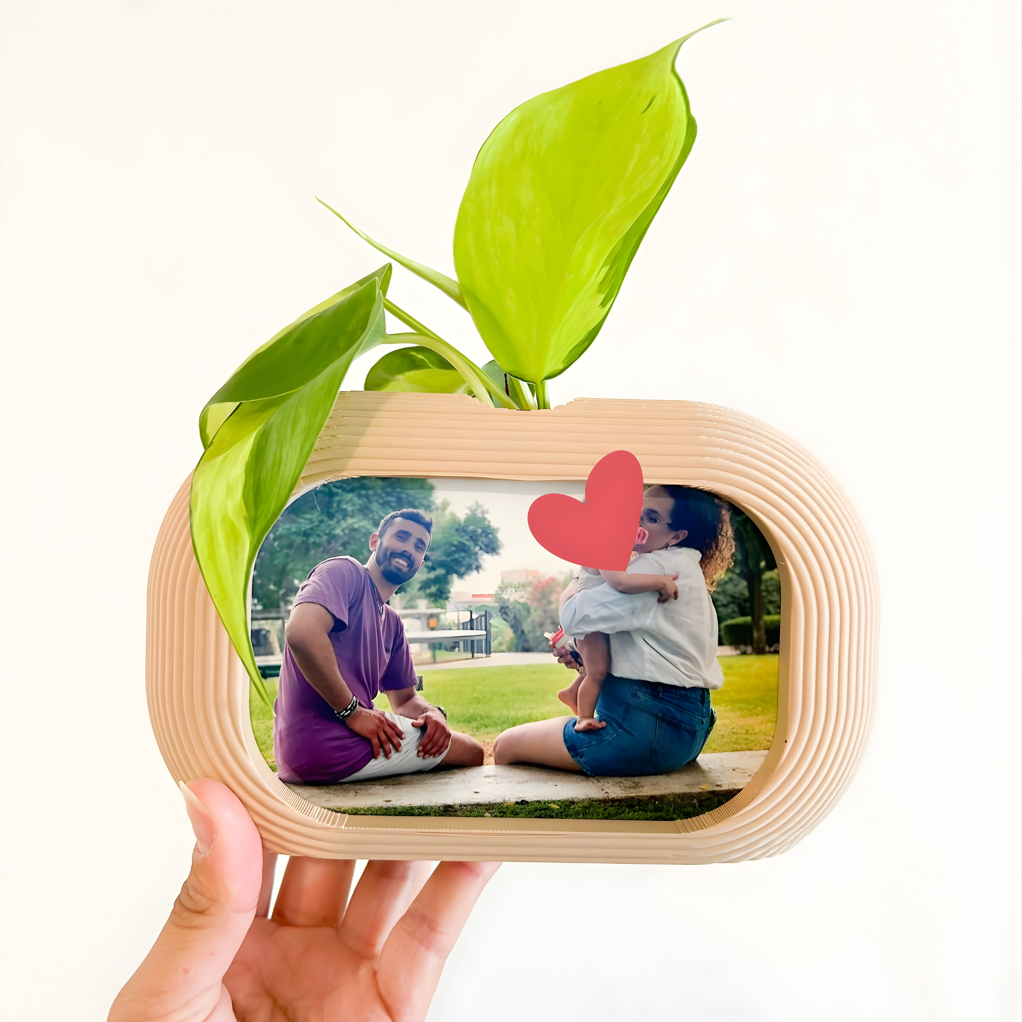 מסגרת צומחת