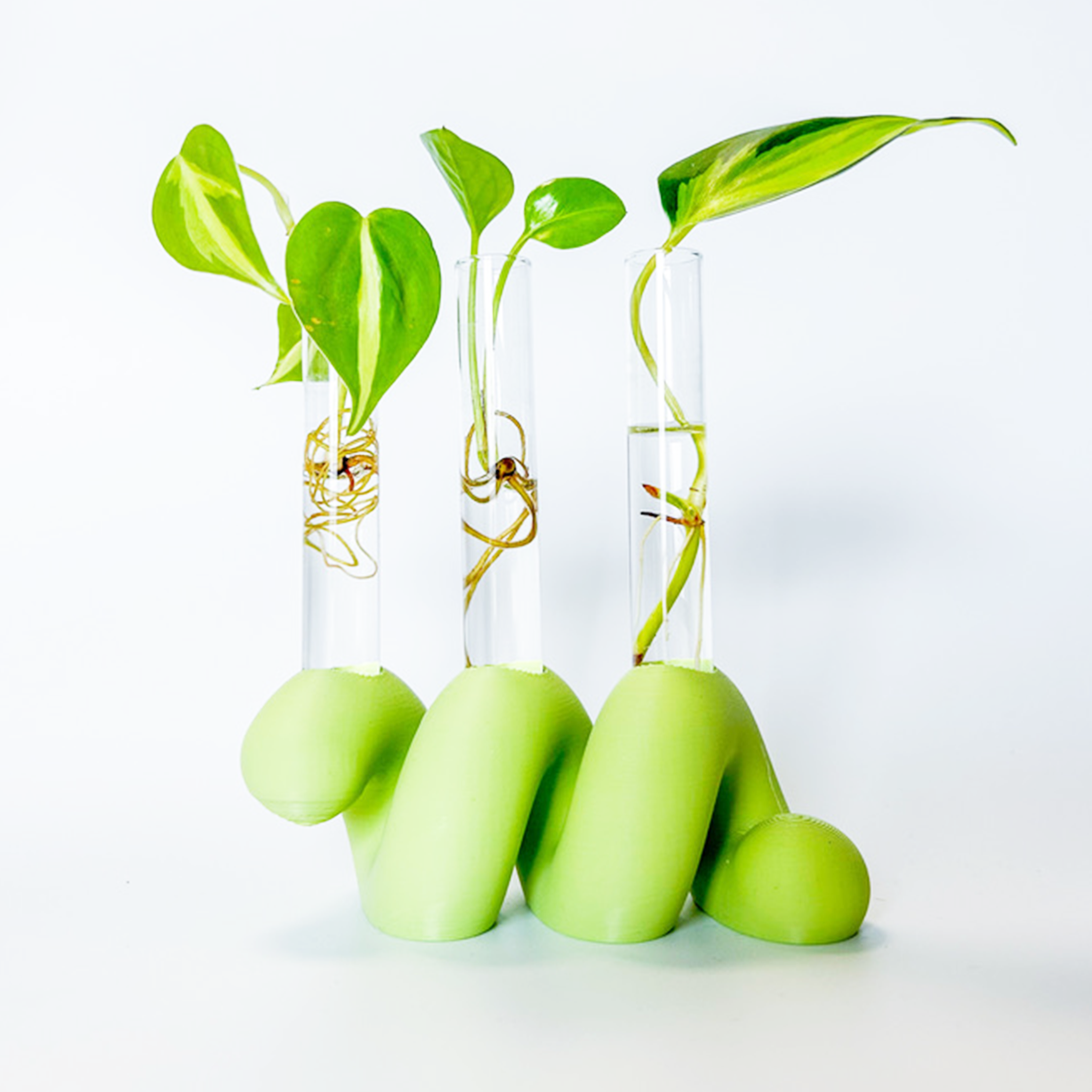 מתקן ייחורים שולחני | ספרינג