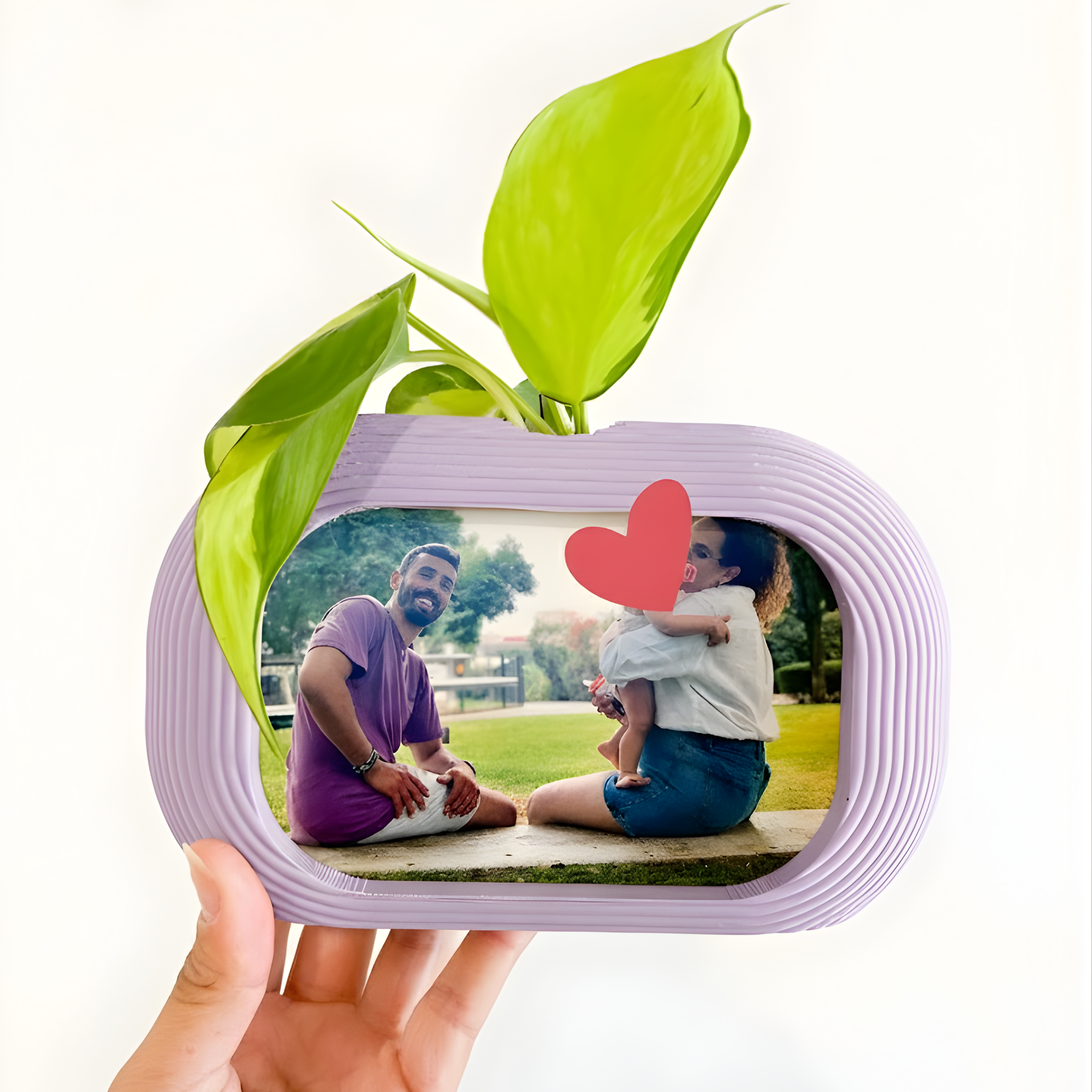 מסגרת צומחת