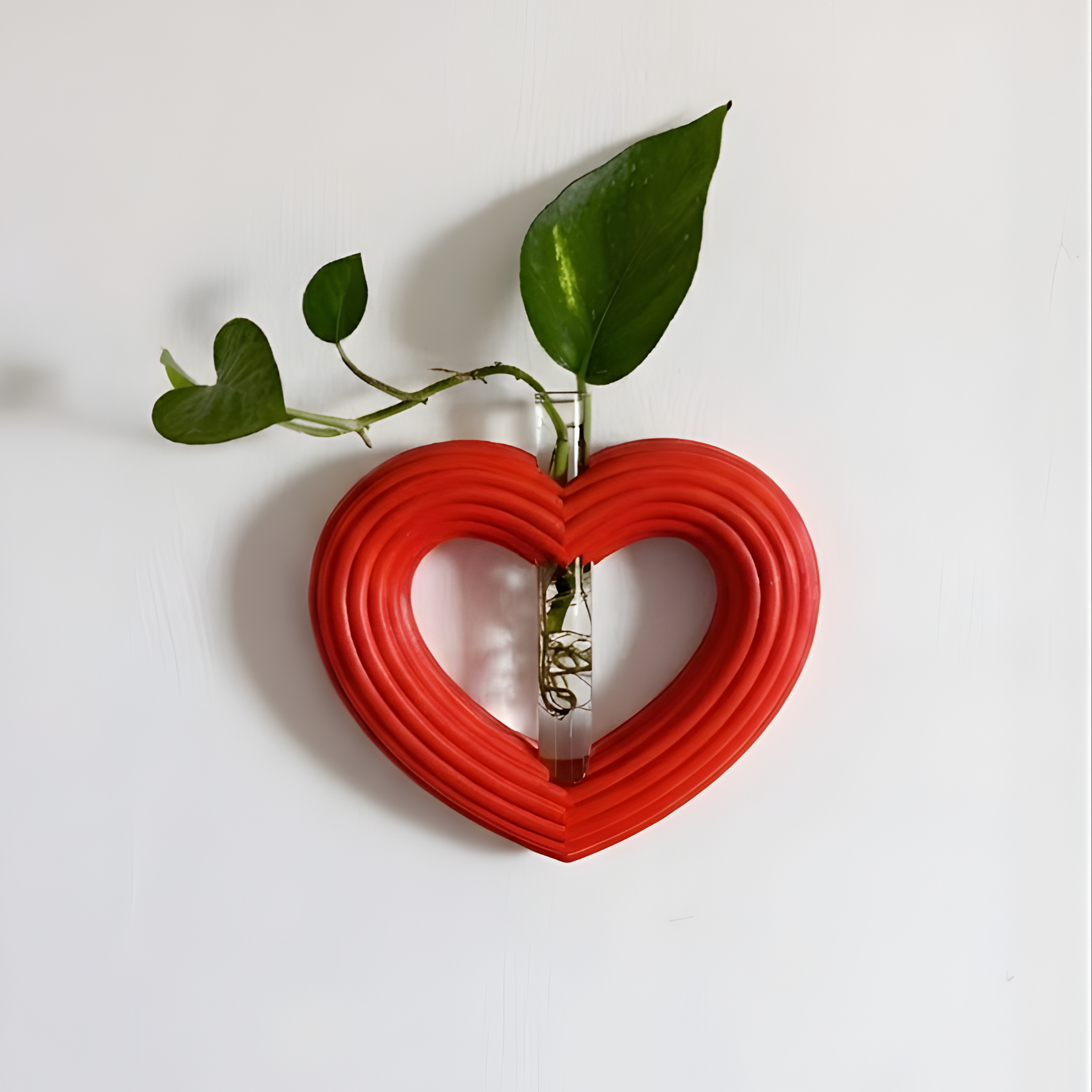 מתקן ייחורים מגנטי/ לתלייה | לב ענק