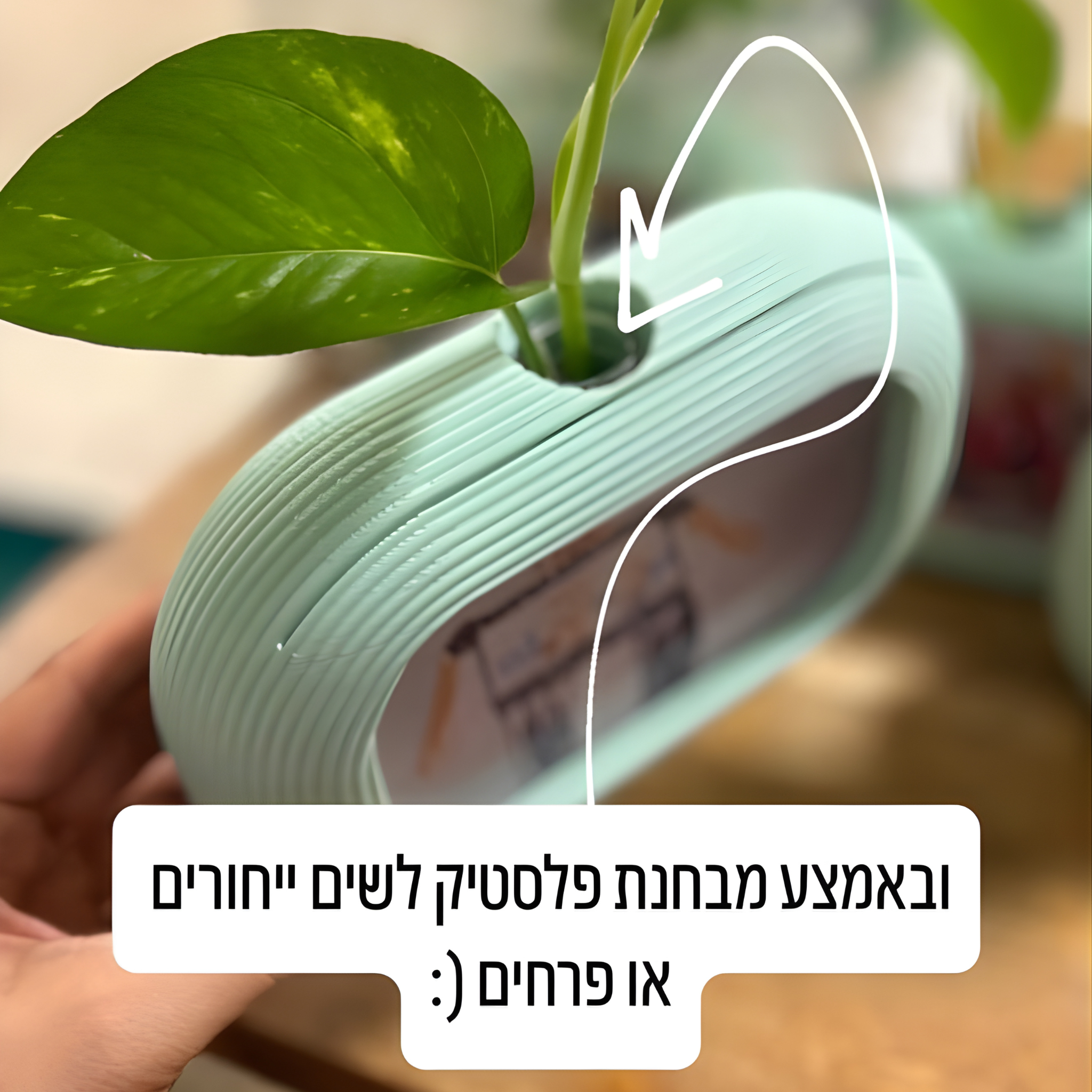 מסגרת צומחת