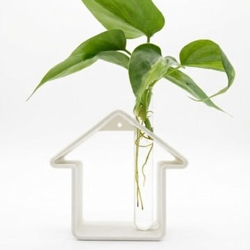 מתקן ייחורים שולחני/ לתלייה | home sweet home