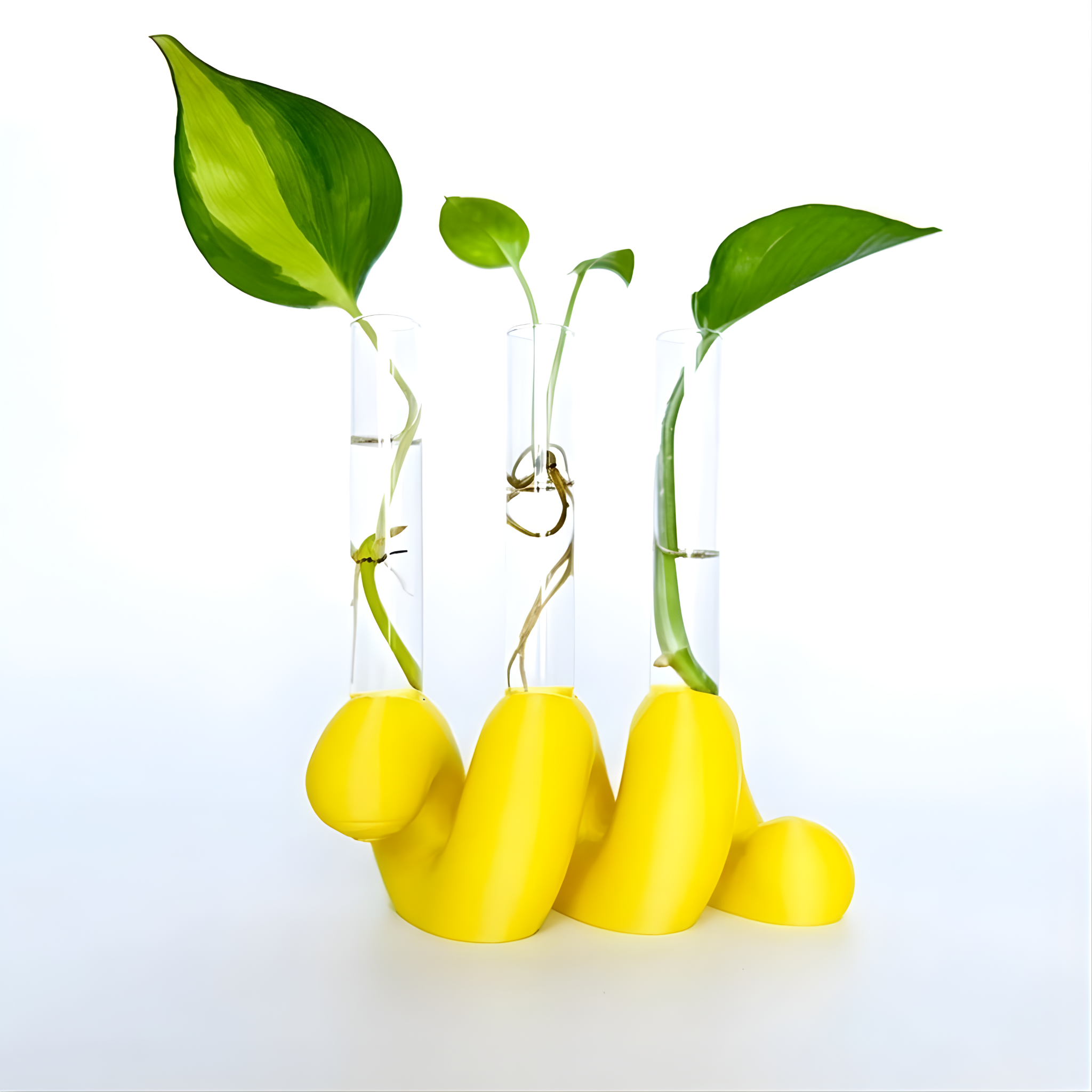 מתקן ייחורים שולחני | ספרינג